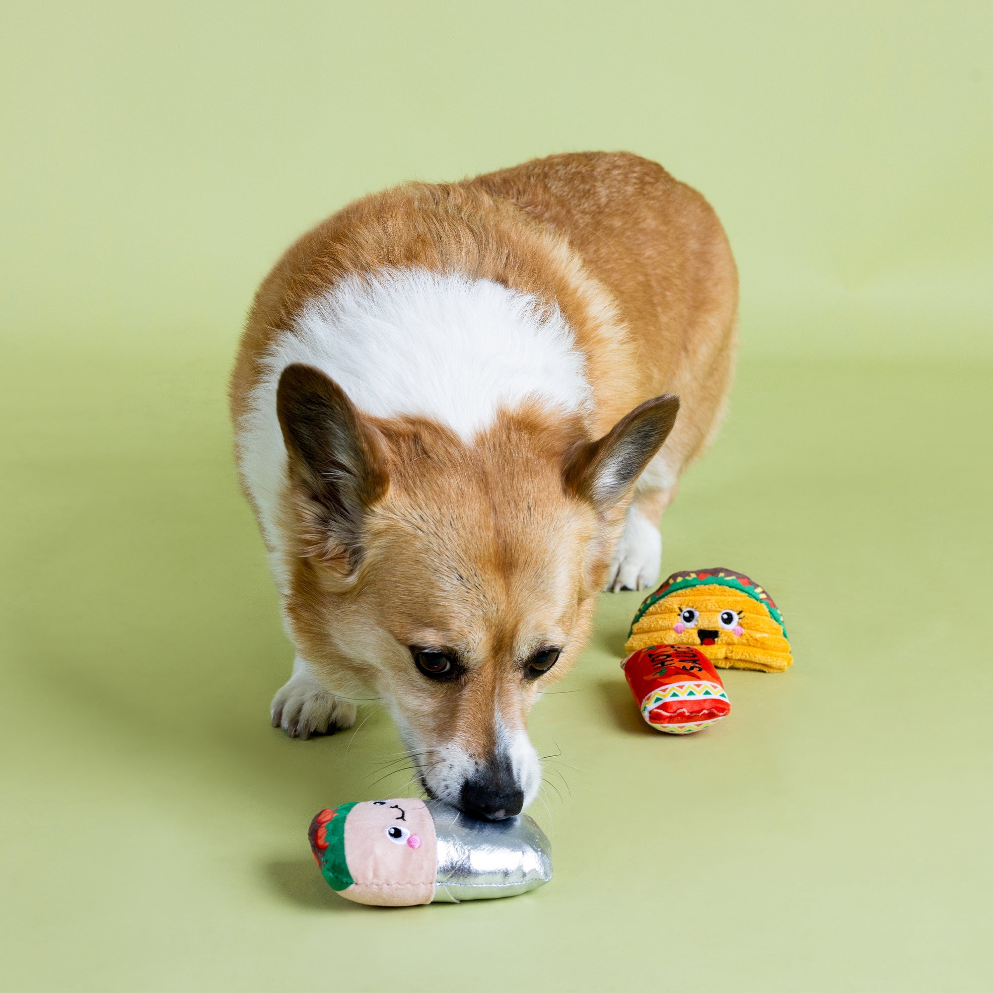 I Got The Hots For You Plush Dog Toy