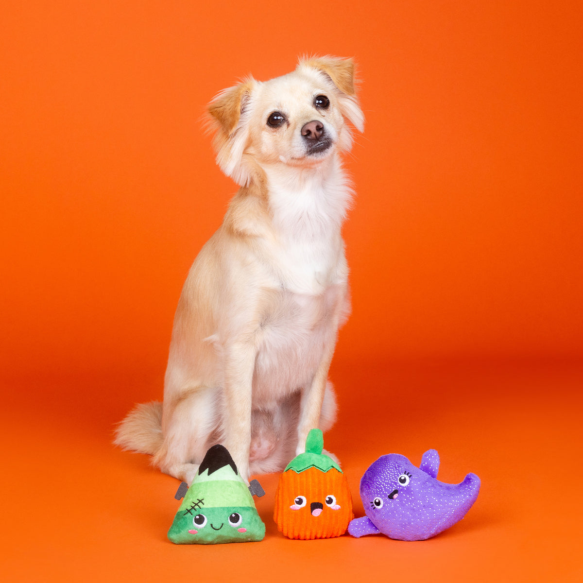 Spooky Squad 3pc Mini Plush Dog Toy Set
