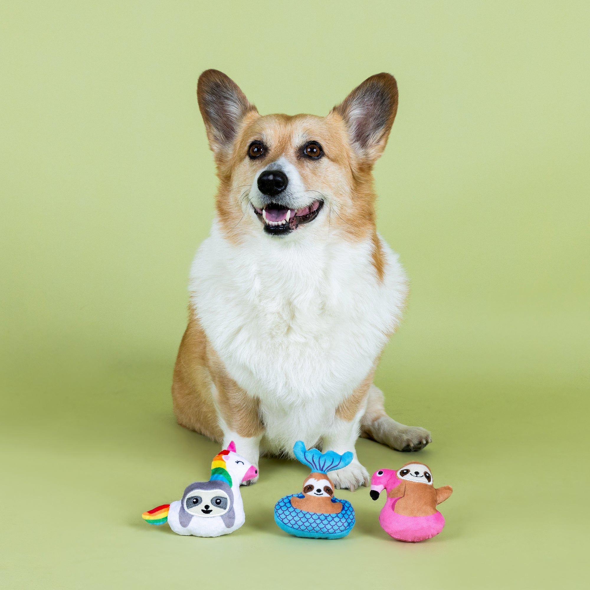 Just Keep Floating 3pc Mini Plush Dog Toy Set
