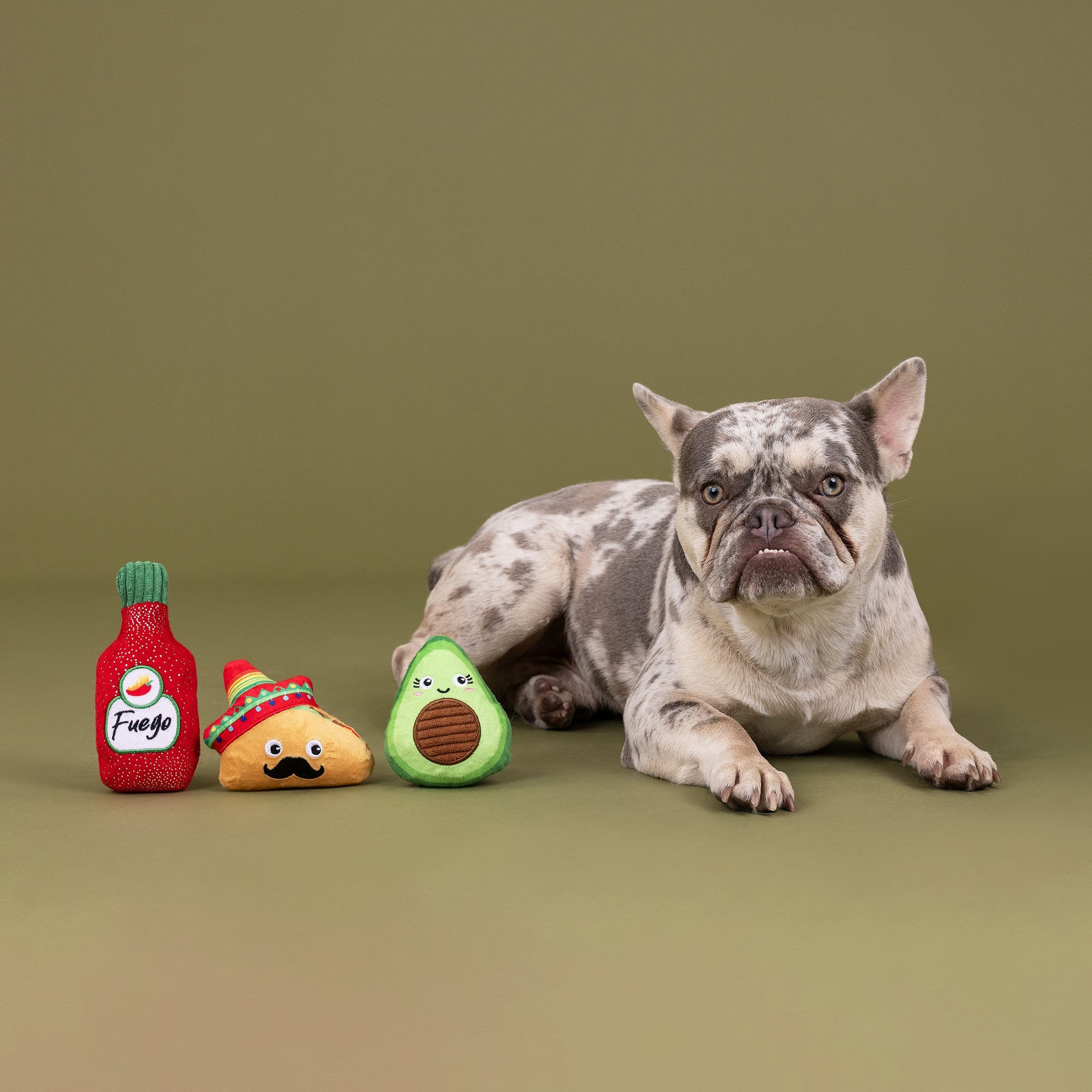 Taste The Heat 3pc Mini Plush Dog Toy Set