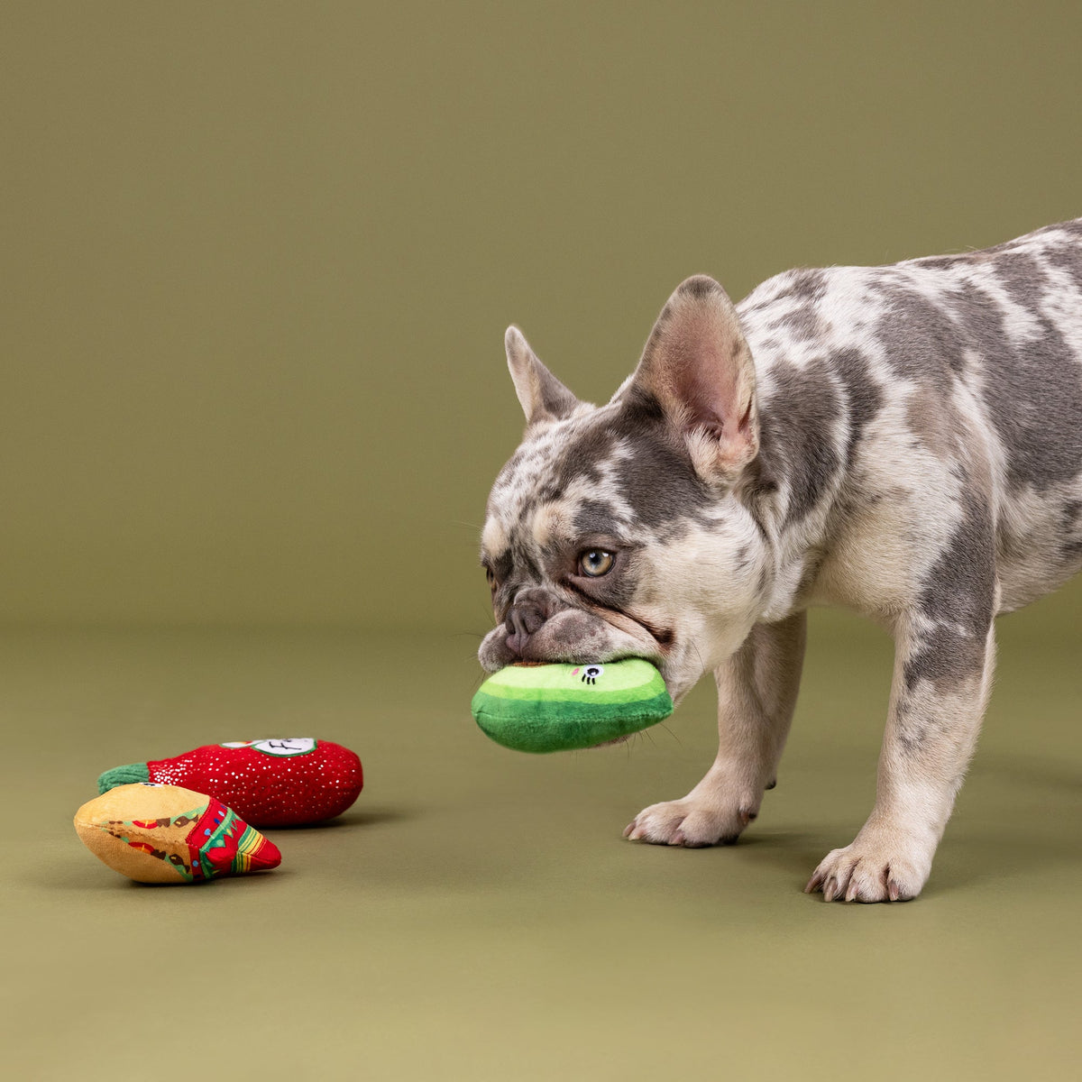 Taste The Heat 3pc Mini Plush Dog Toy Set