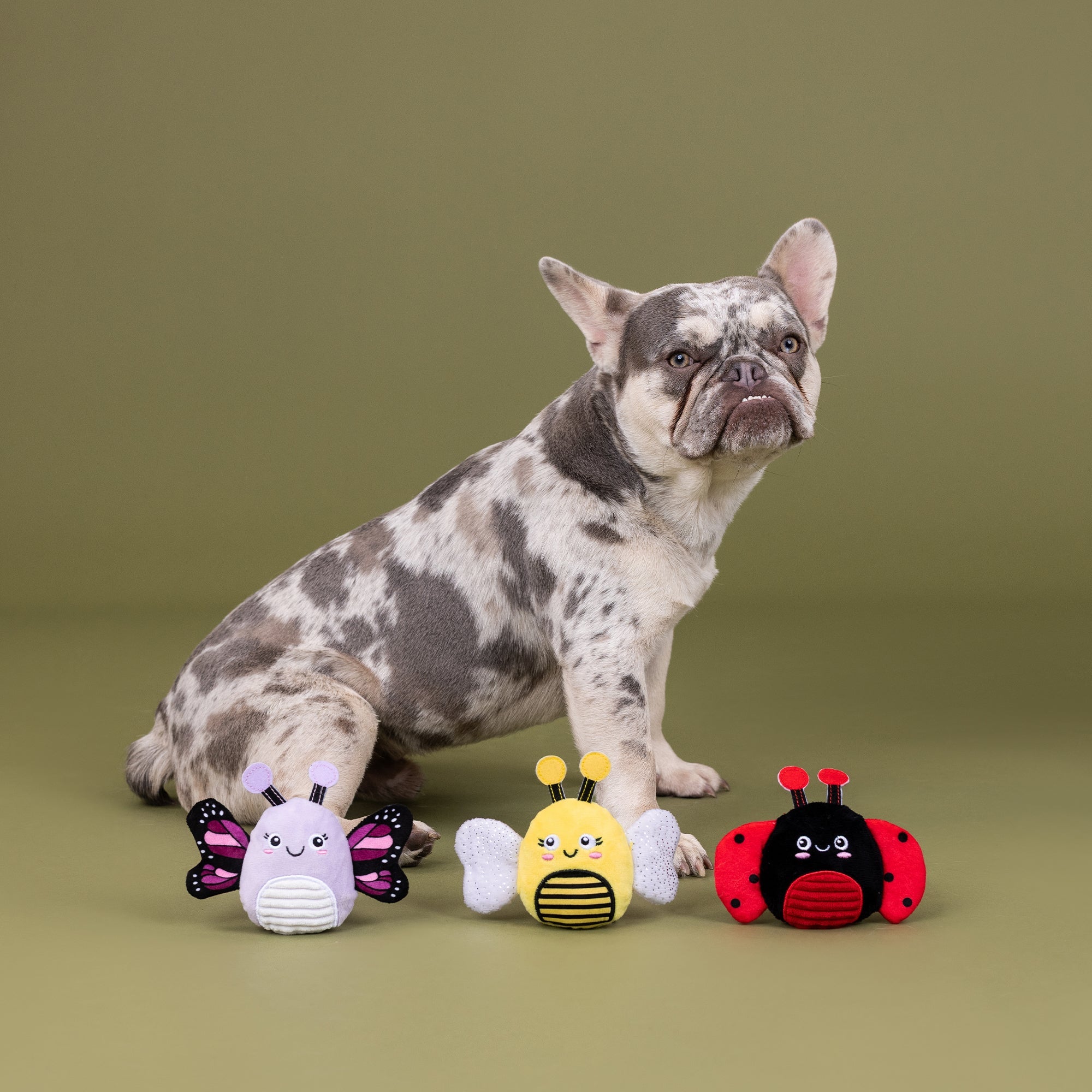 We'Re Super Fly 3pc Mini Plush Dog Toy Set