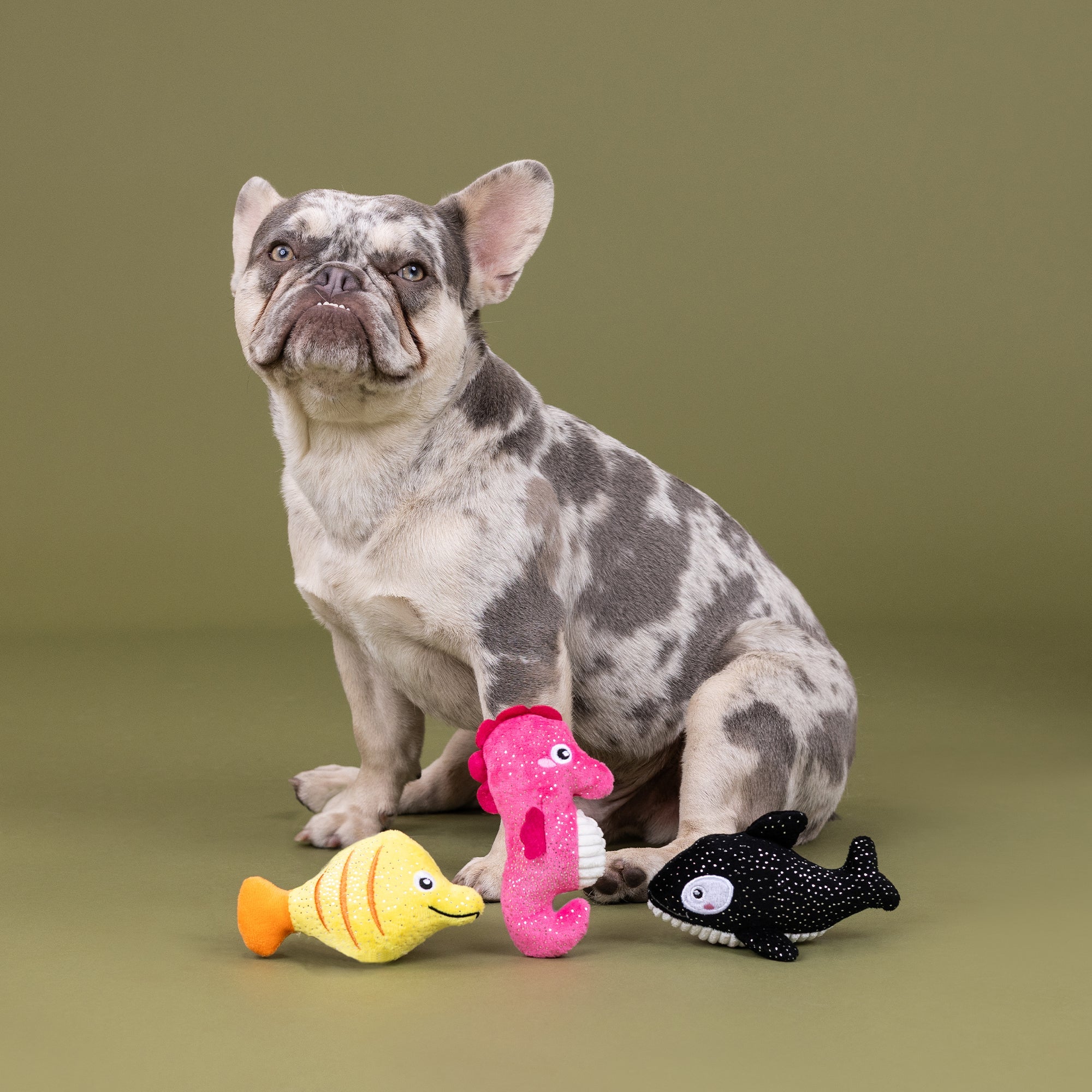 High Fin Buds 3pc Mini Plush Dog Toy Set