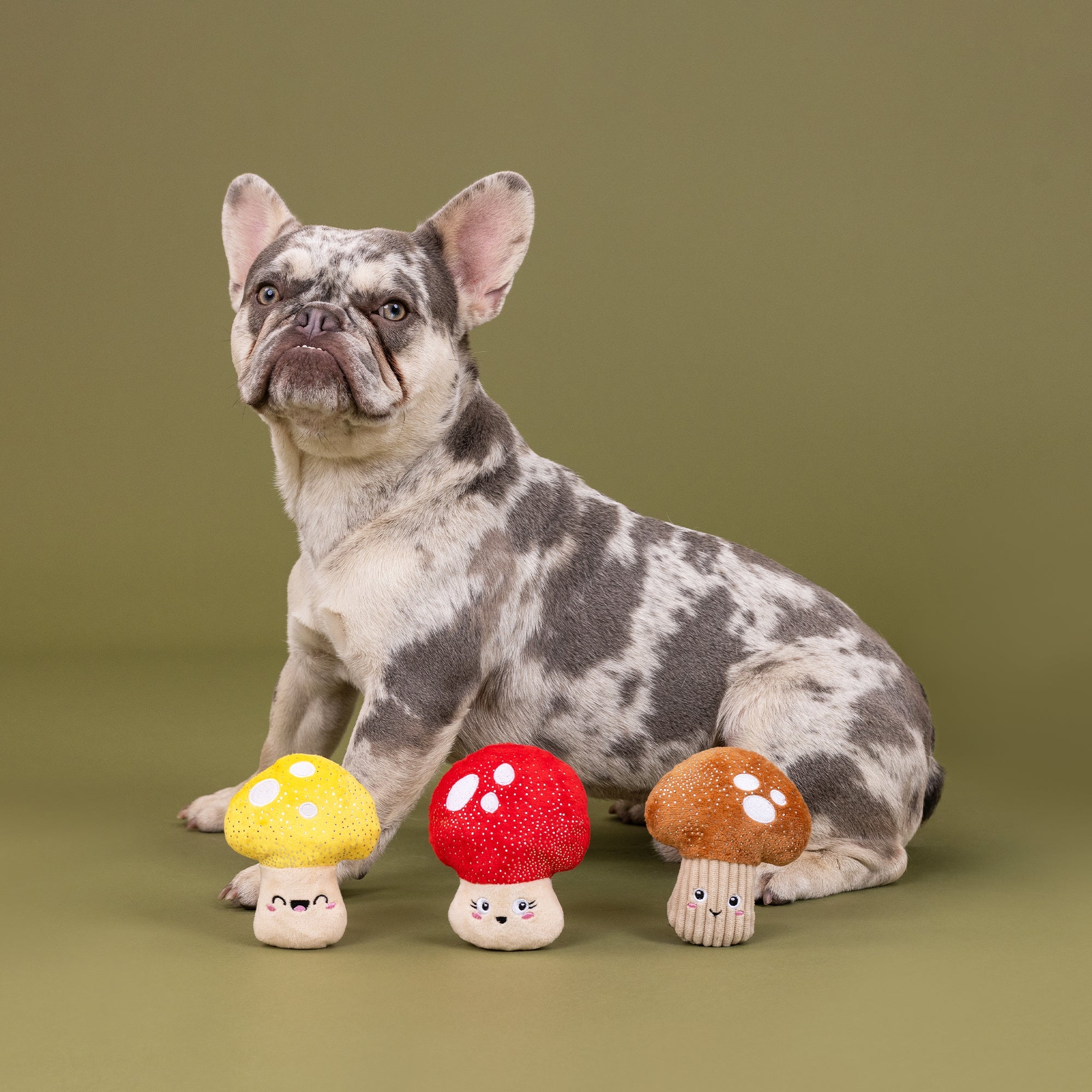 Shrooming 3pc Mini Plush Dog Toy Set