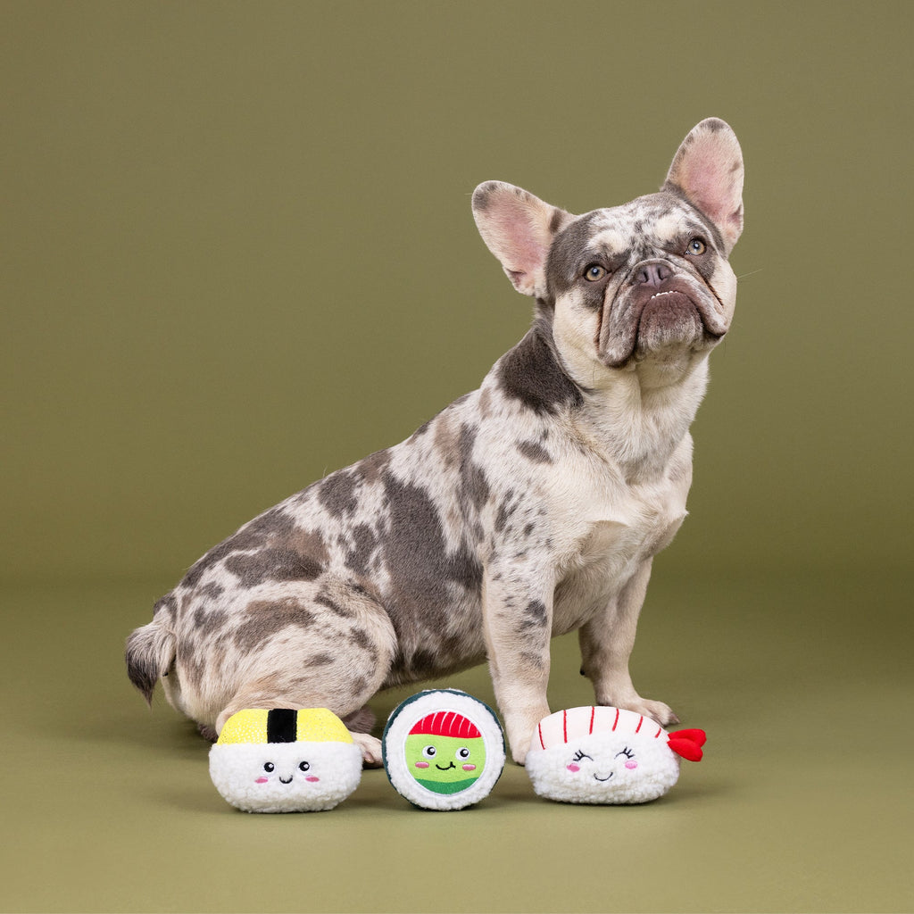 Rice To Meet You Mini Toys