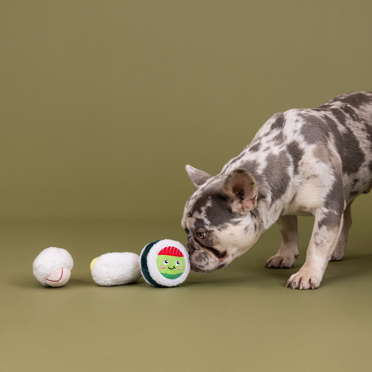 Rice To Meet You 3pc Mini Plush Dog Toy Set