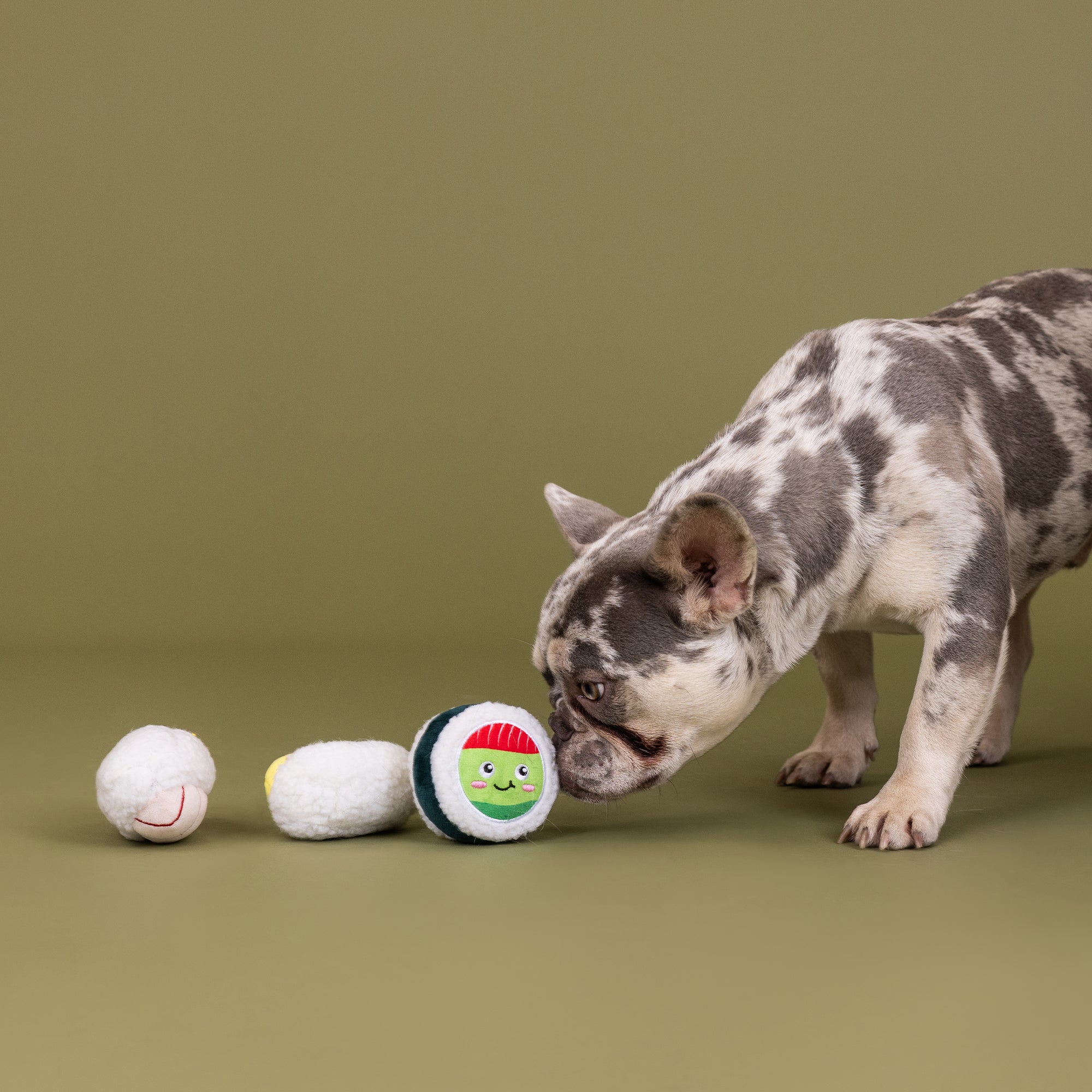 Rice To Meet You 3pc Mini Plush Dog Toy Set