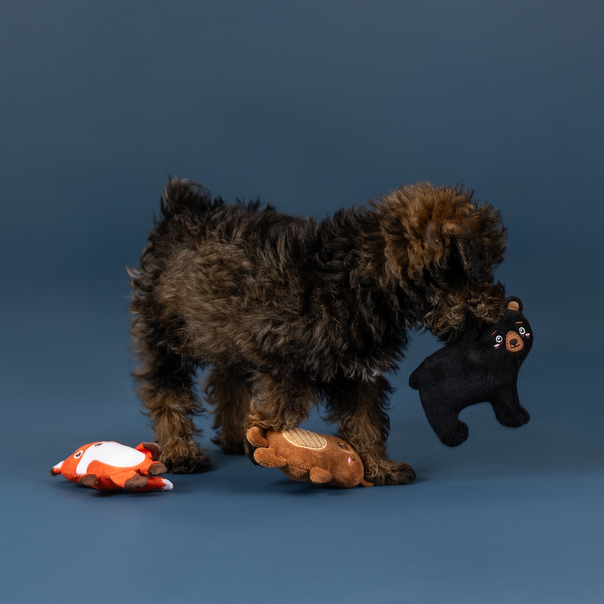 Wagsdale Lake Cruisers 3pc Mini Dog Toy Set