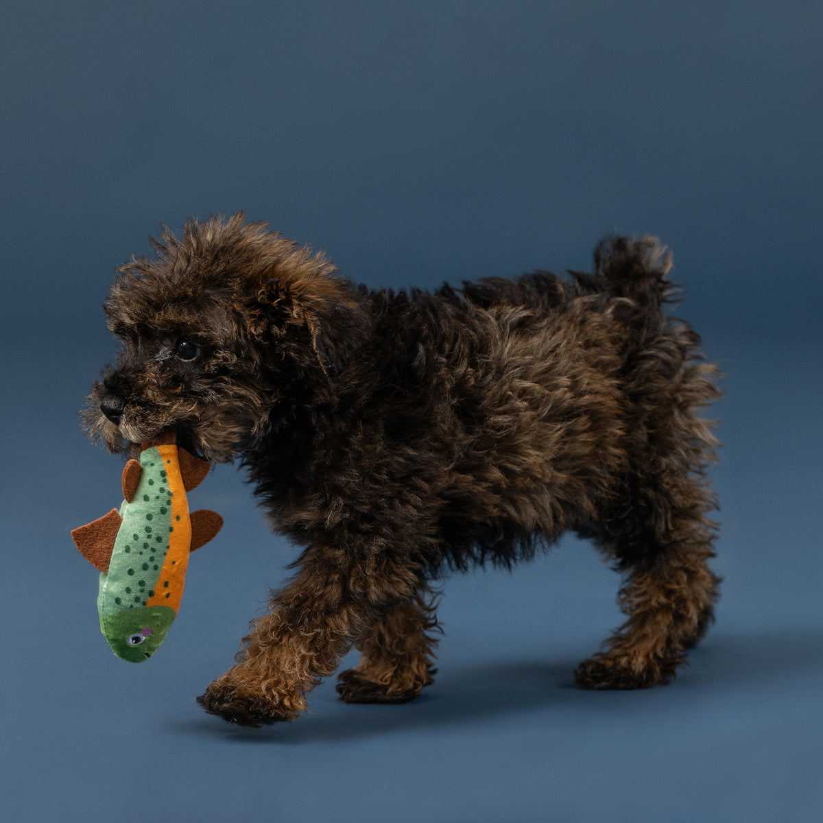 Wagsdale Lake Cruisers 3pc Mini Dog Toy Set
