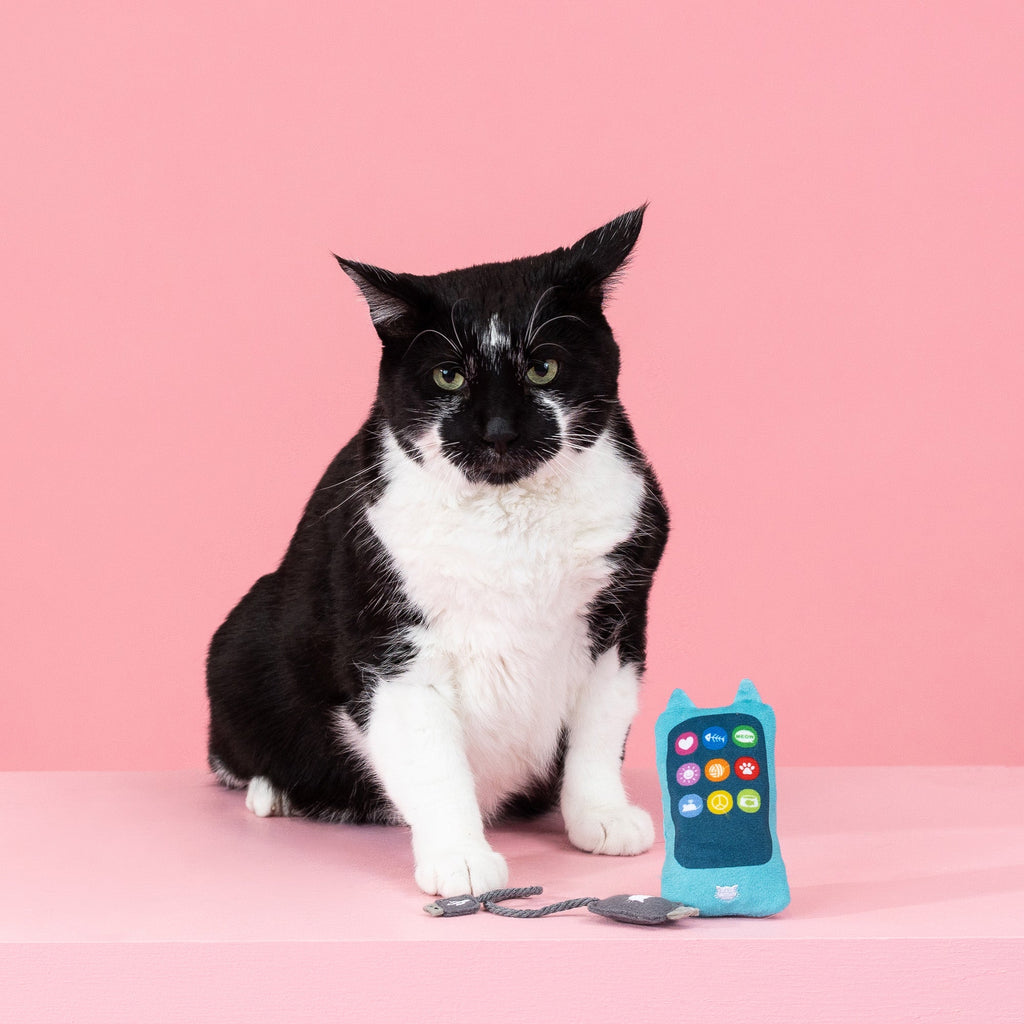 Charged Up Cat Toy