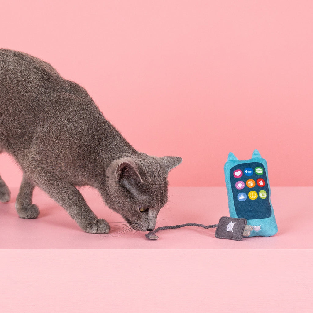 Charged Up Cat Toy