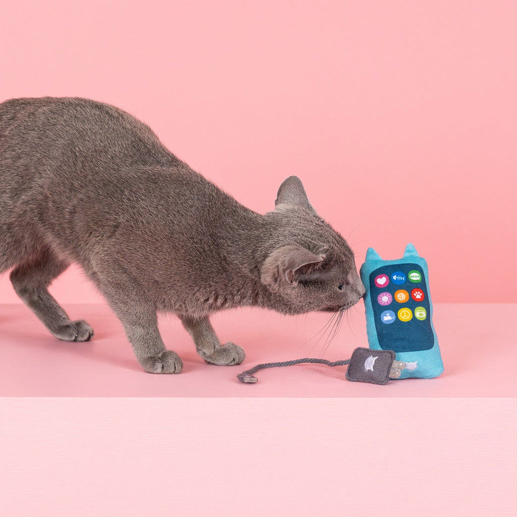 Charged Up Cat Toy