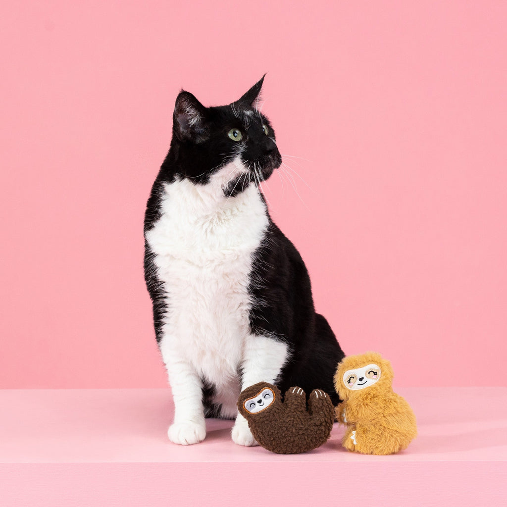 Movin' Slow Cat Toy
