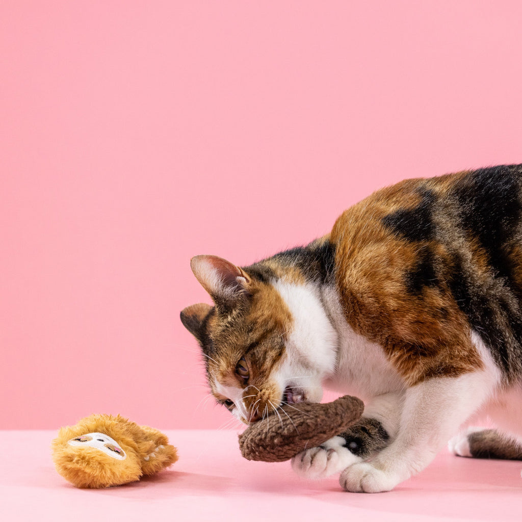 Movin' Slow Cat Toy