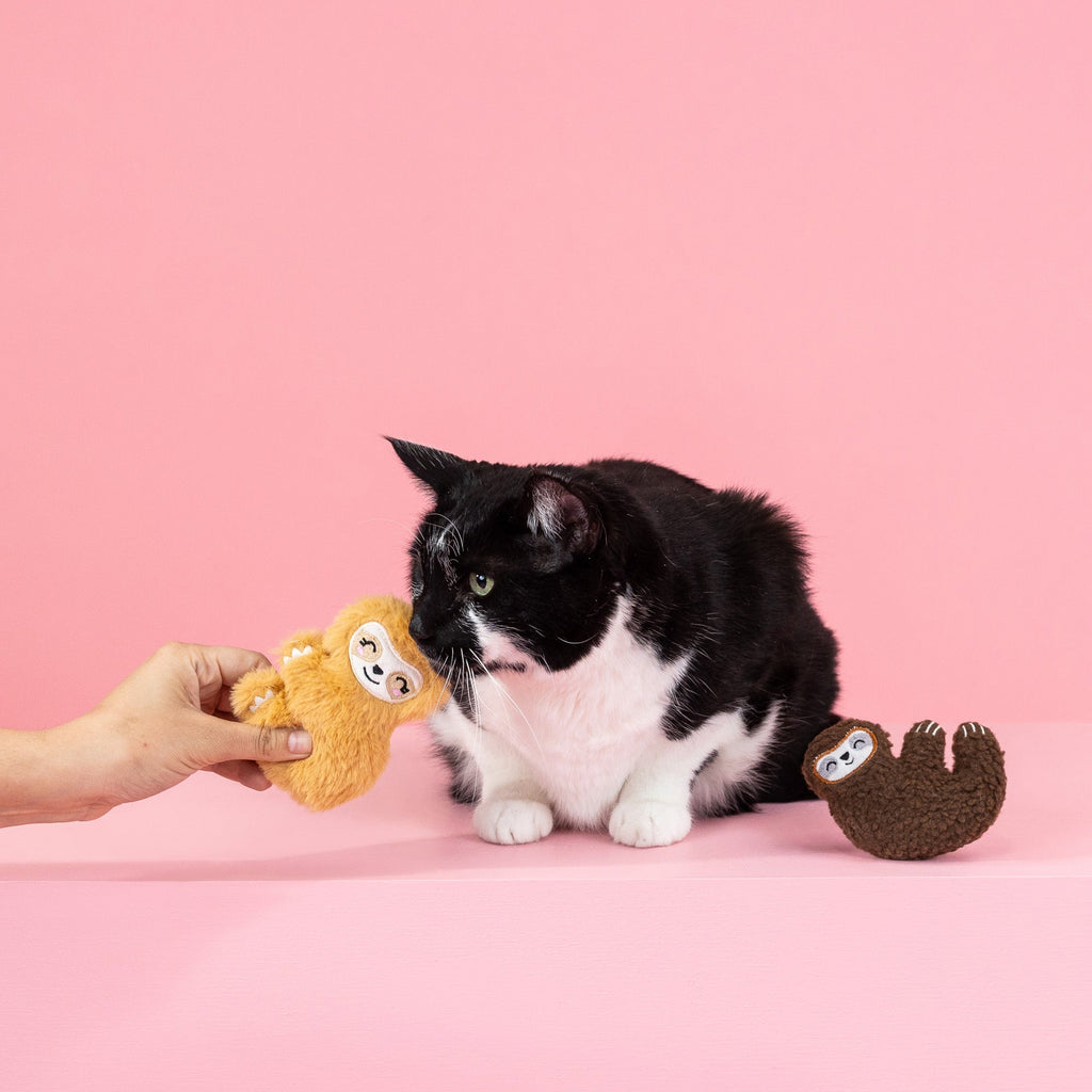 Movin' Slow Cat Toy