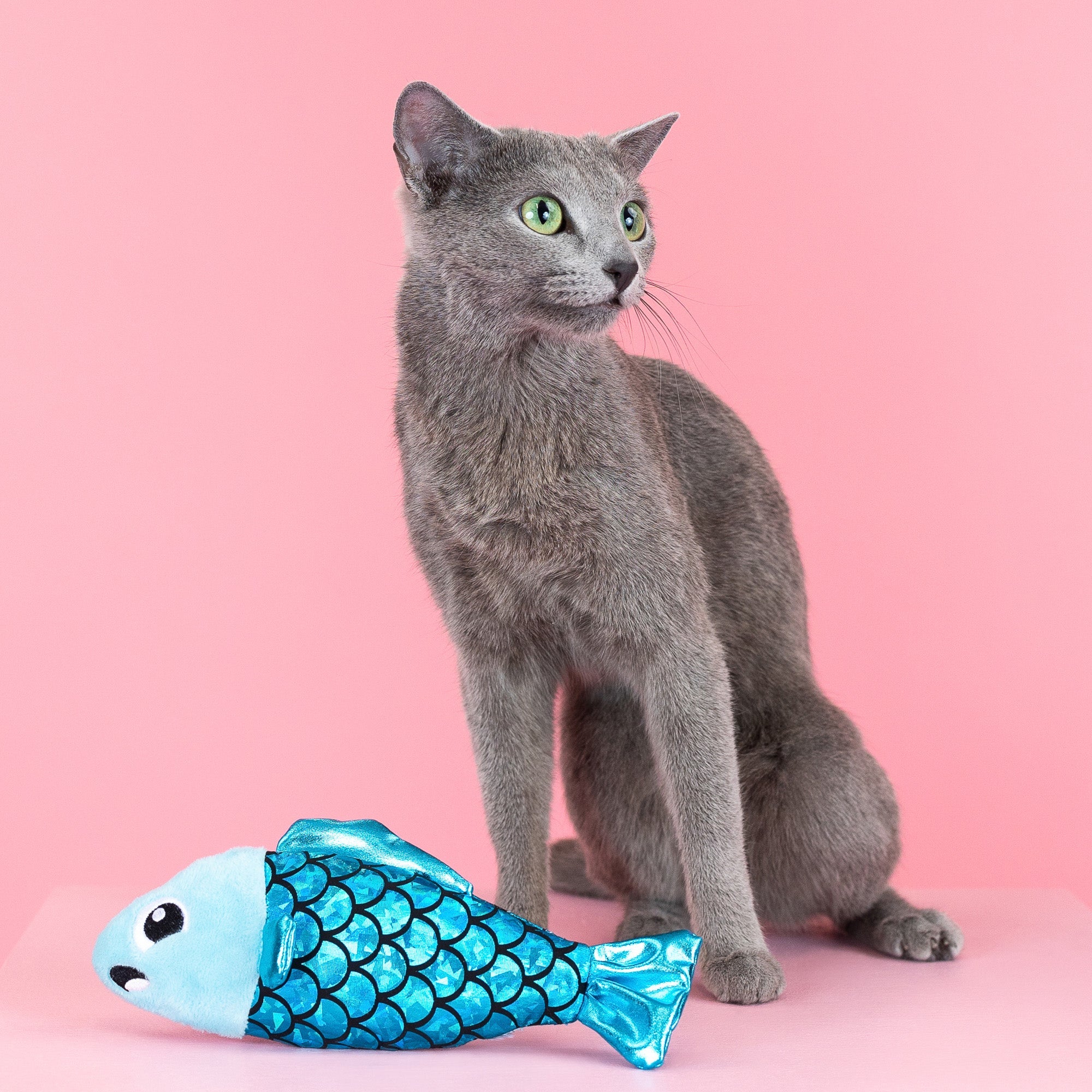 A Little Fishy Plush Kicker Cat Toy
