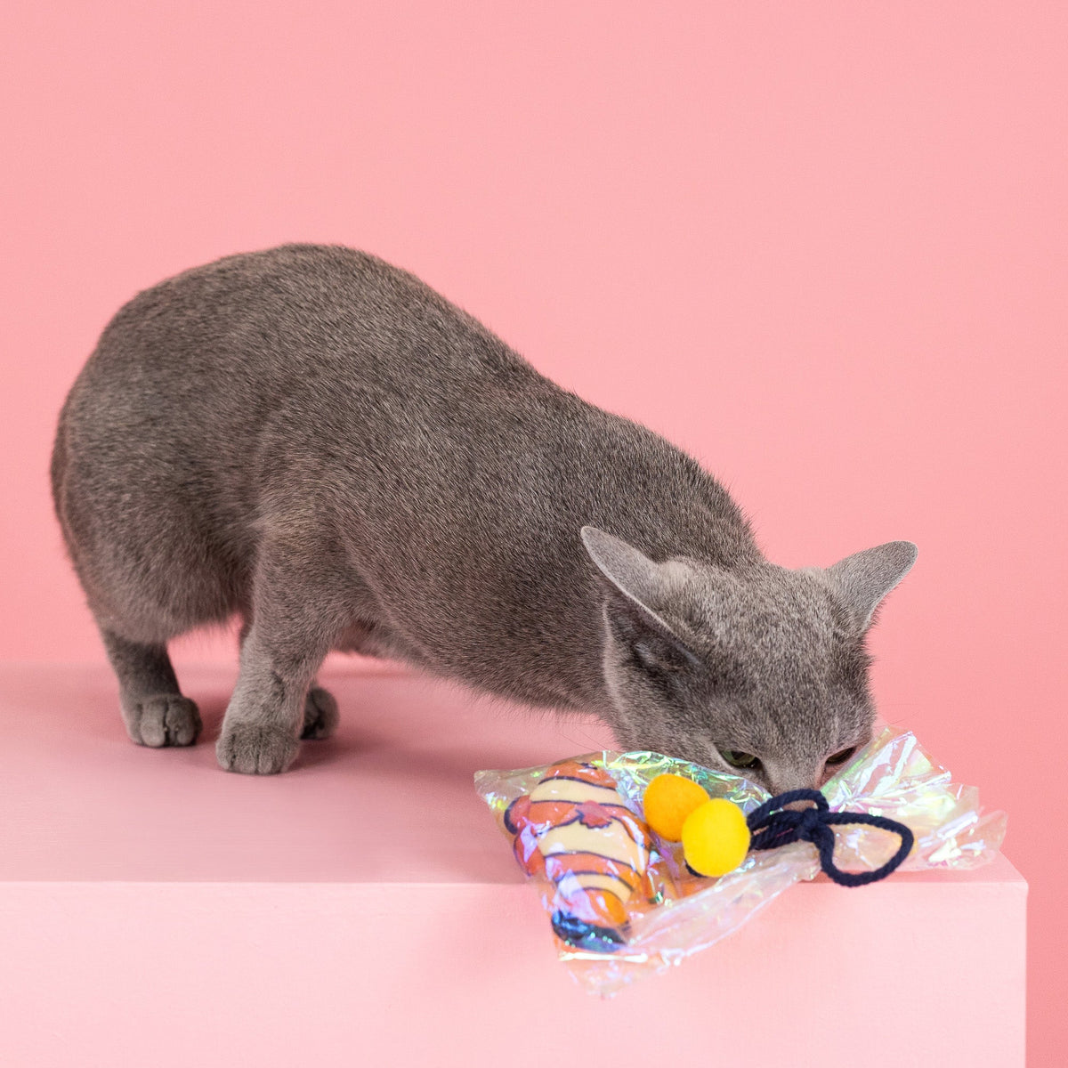 Clownin' Around Plush Kicker Cat Toy