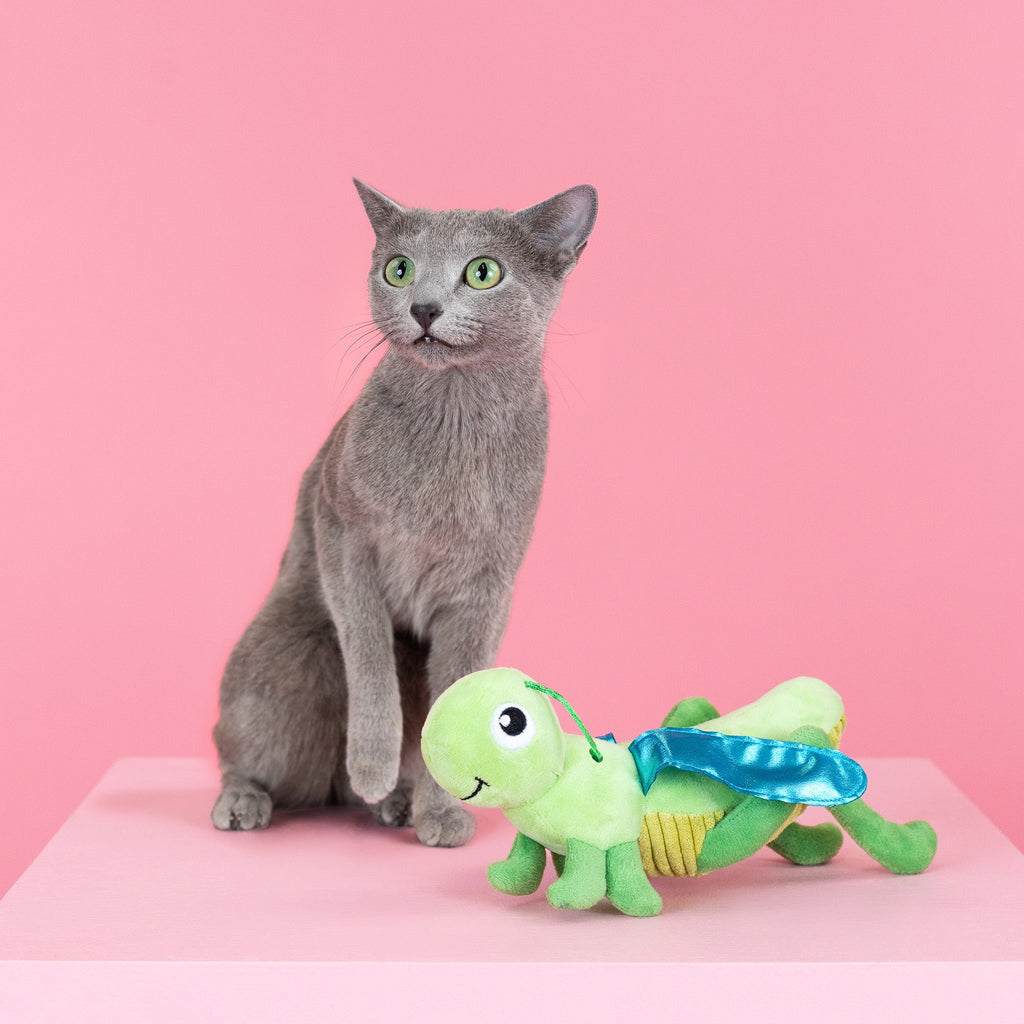 Hop On By Cat Toy