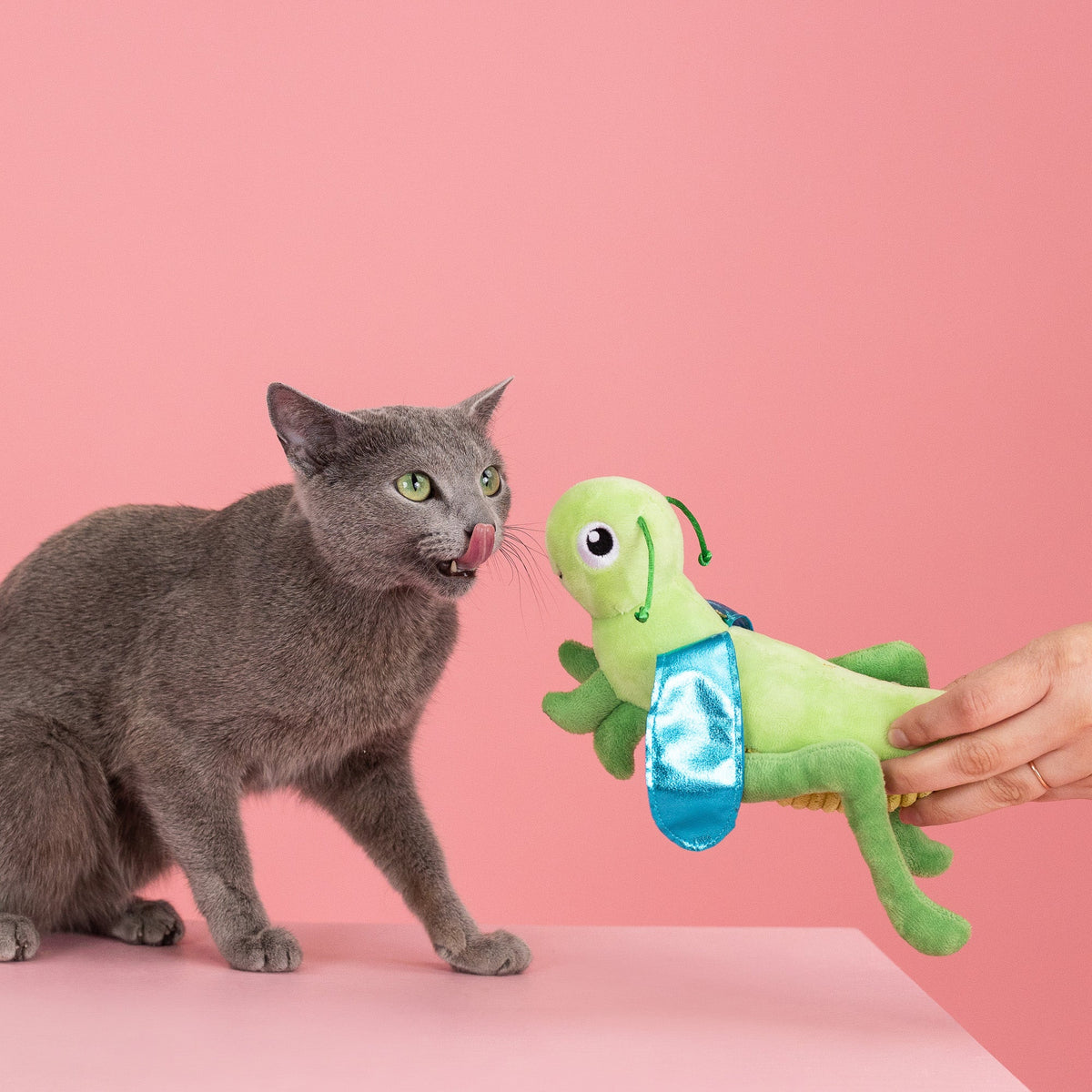 Hop On By Plush Kicker Cat Toy