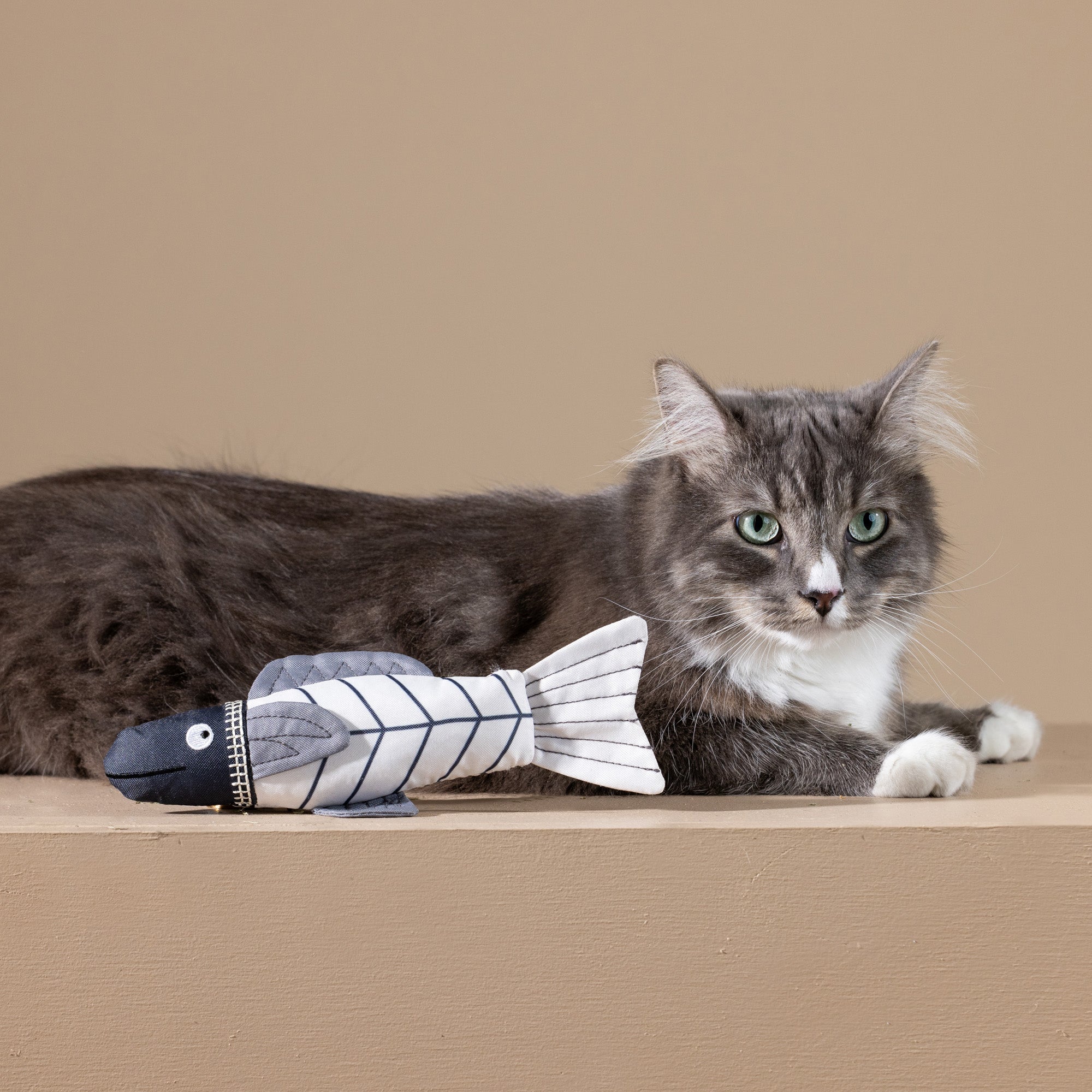 Something's Fishy Canvas Kicker Cat Toy