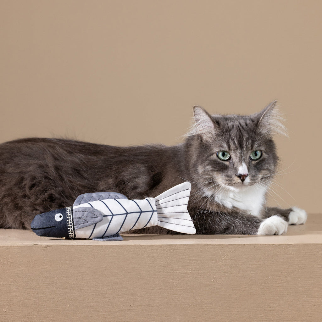 Something's Fishy Kicker Cat Toy