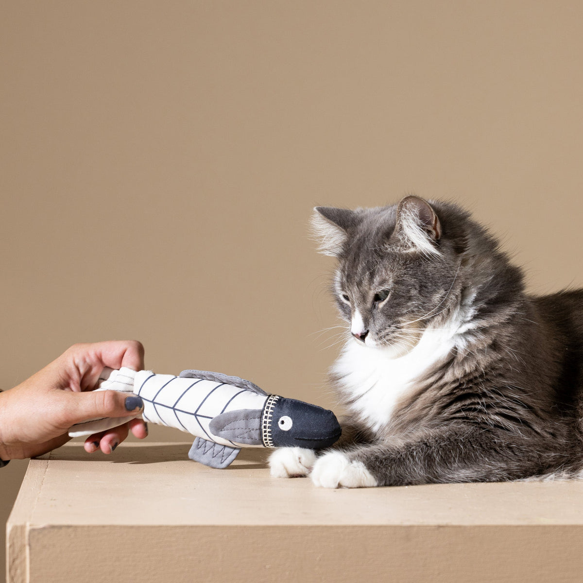 Something's Fishy Canvas Kicker Cat Toy