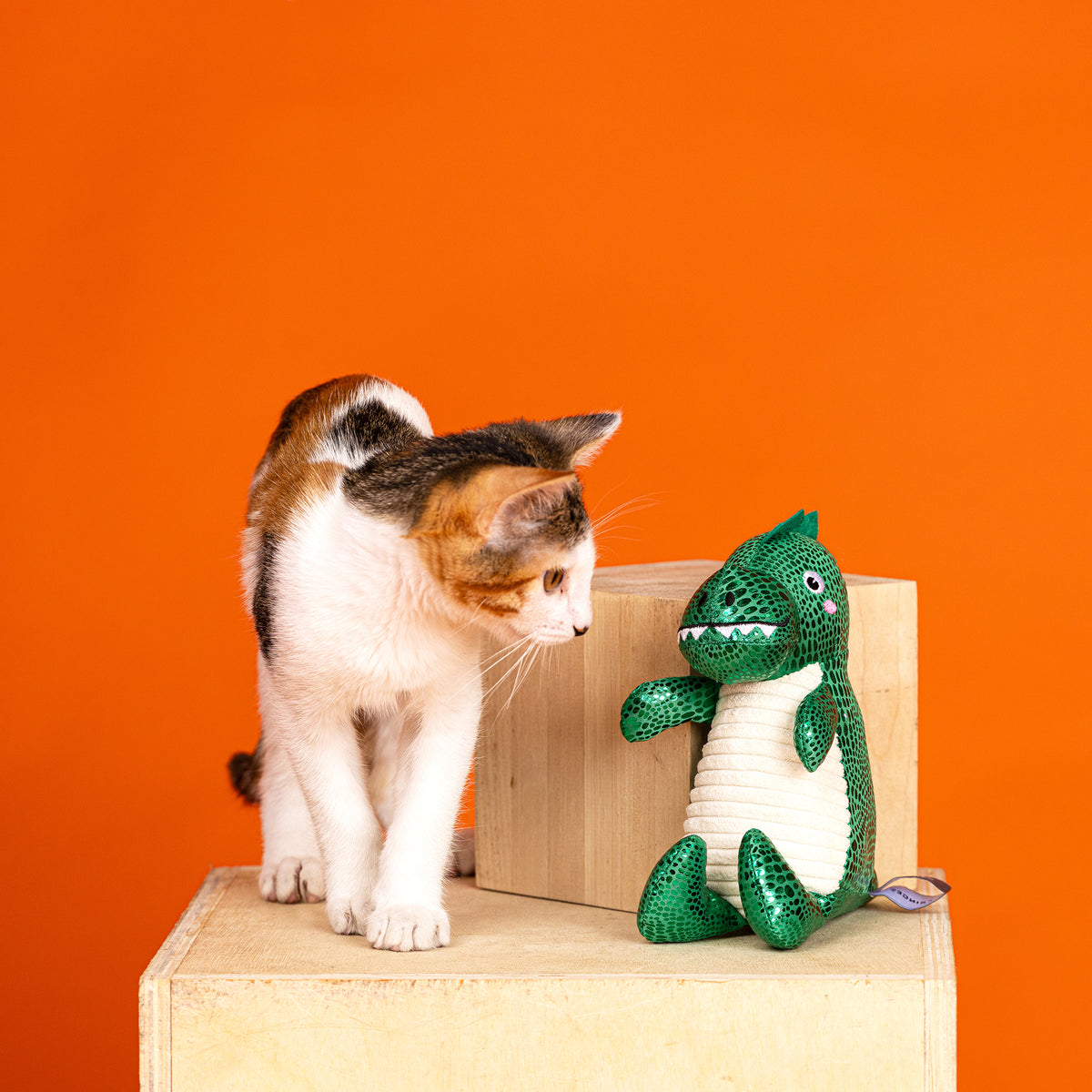 Rawr To You Too Plush Kicker Cat Toy