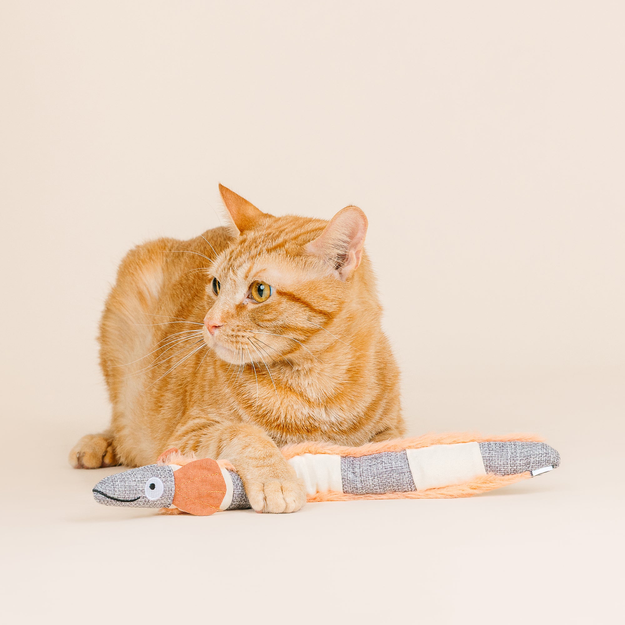 Feeling Eel-Ectric Kicker Cat Toy