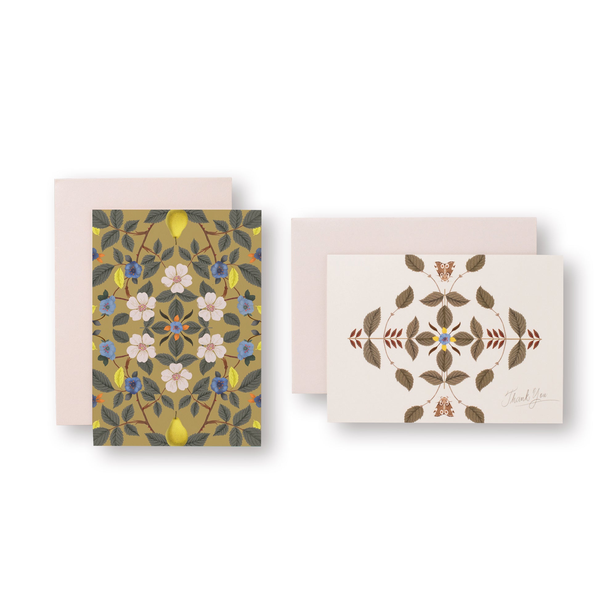 Forage Field Boxed Notecards
