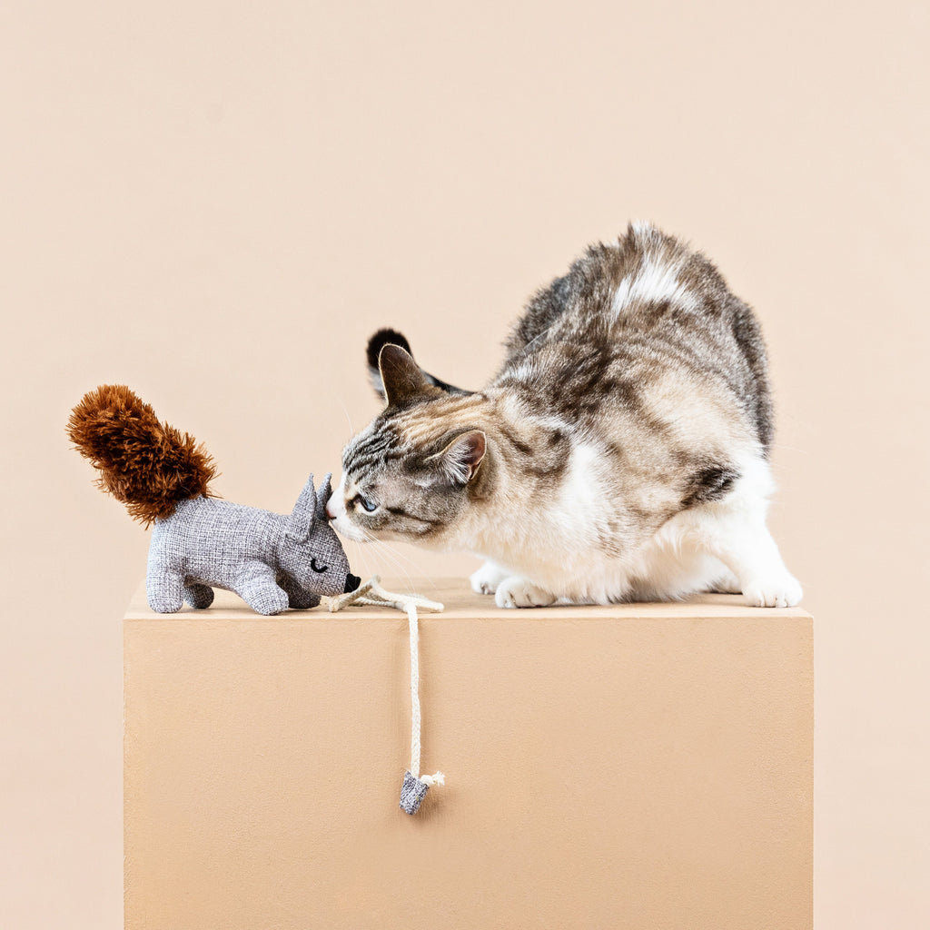 One Tuff Nut Cat Toy
