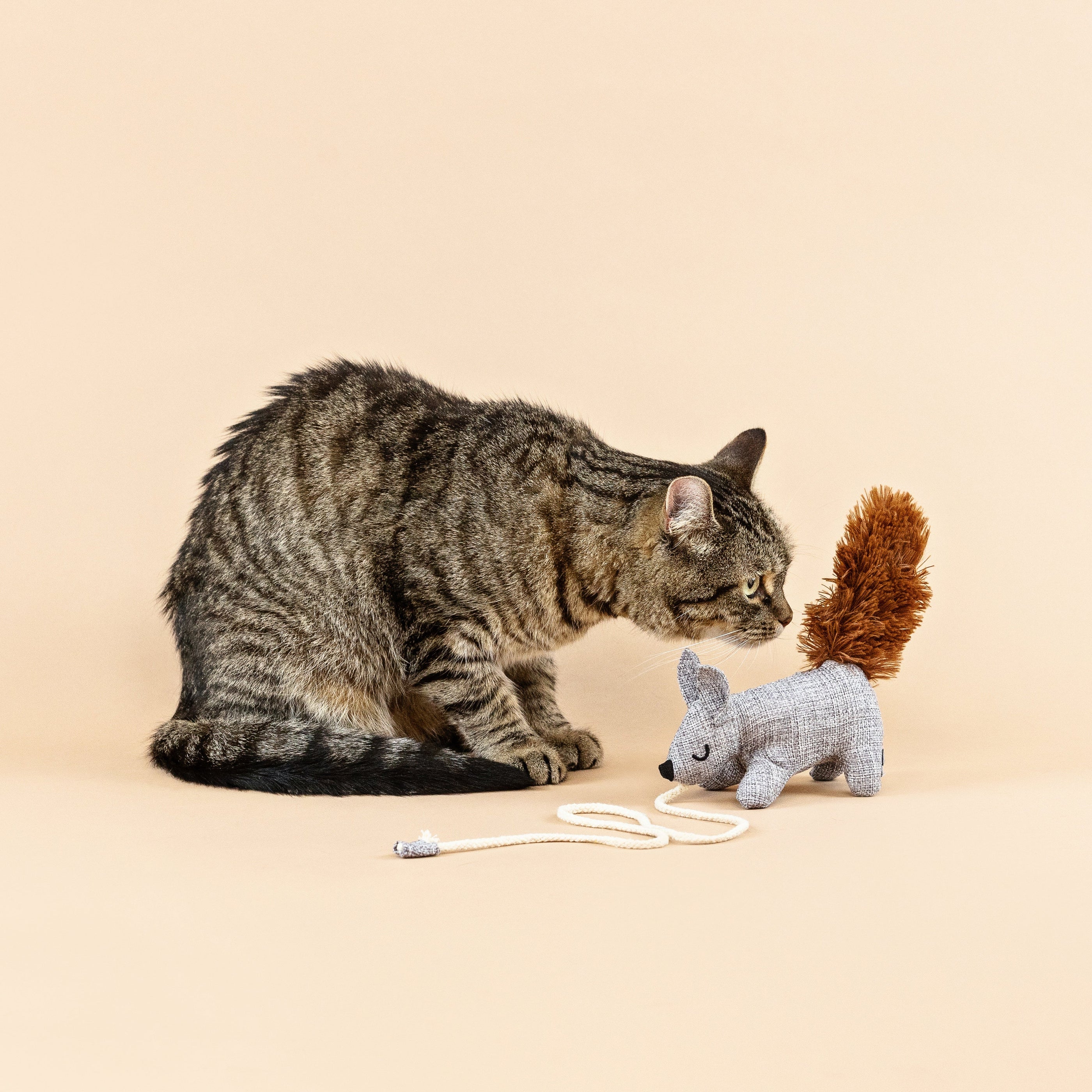 One Tuff Nut Teaser Cat Toy