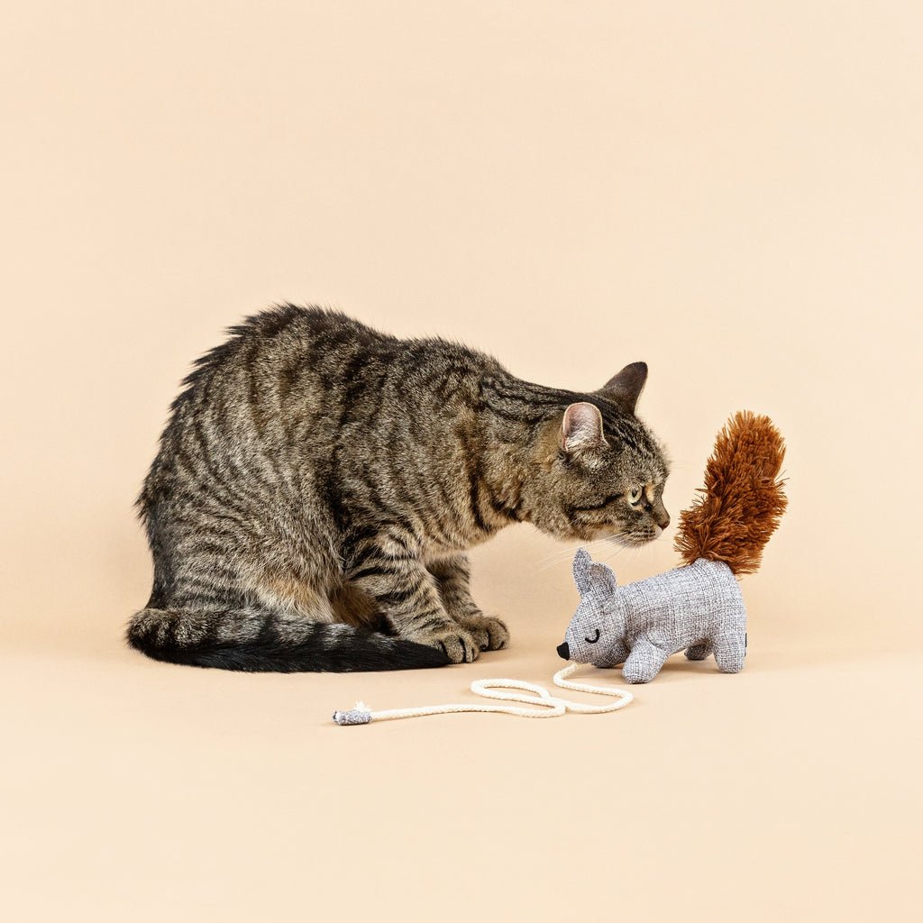One Tuff Nut Cat Toy