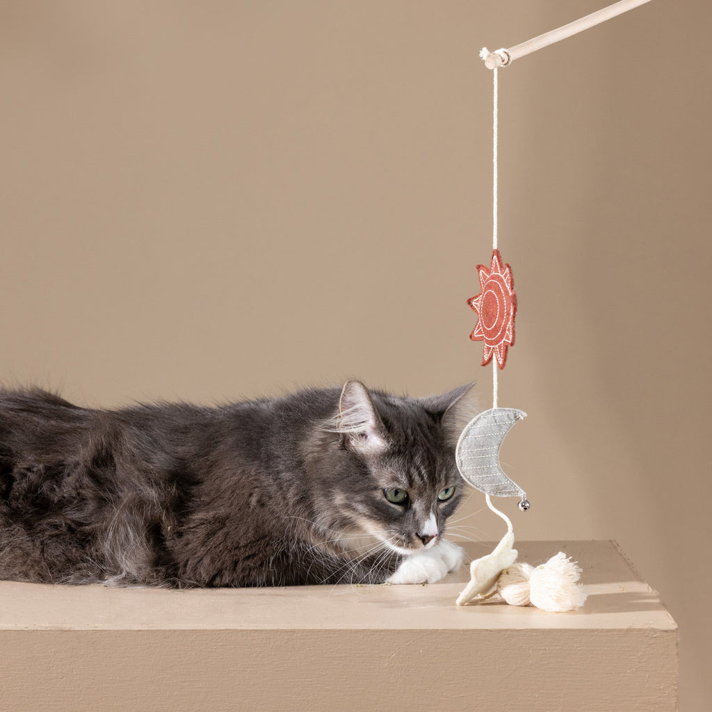 Happy Skies Teaser Cat Toy
