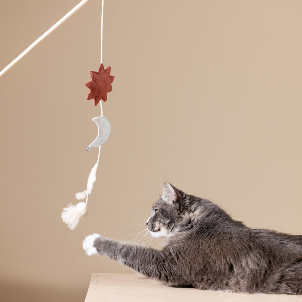 Happy Skies Teaser Cat Toy