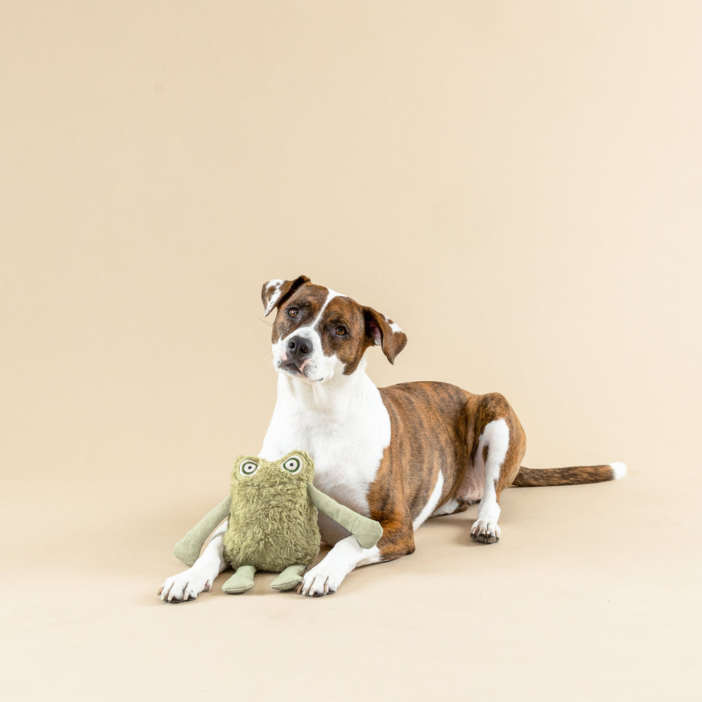 I Jump Around Dog Toy