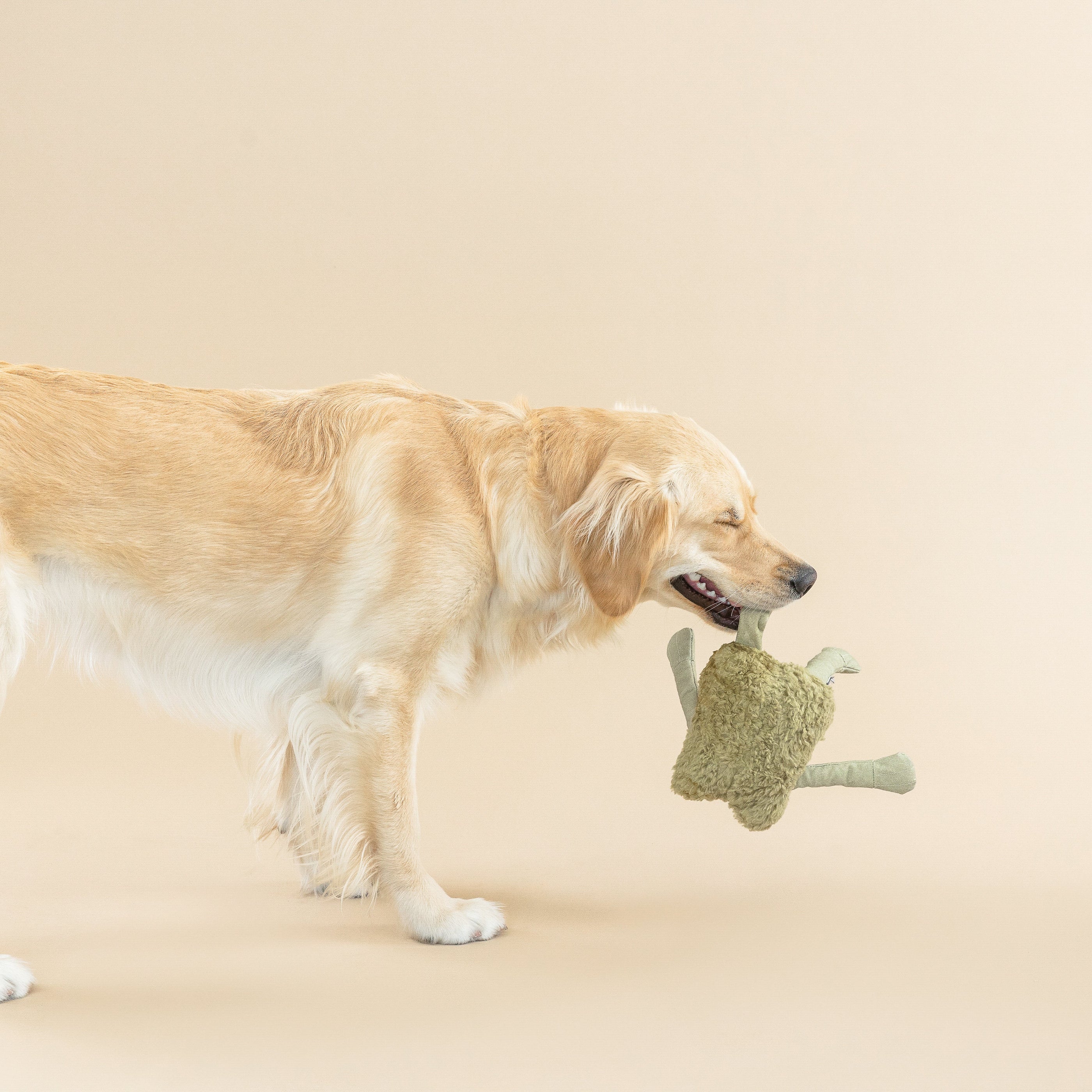 I Jump Around Earth Friendly Dog Toy