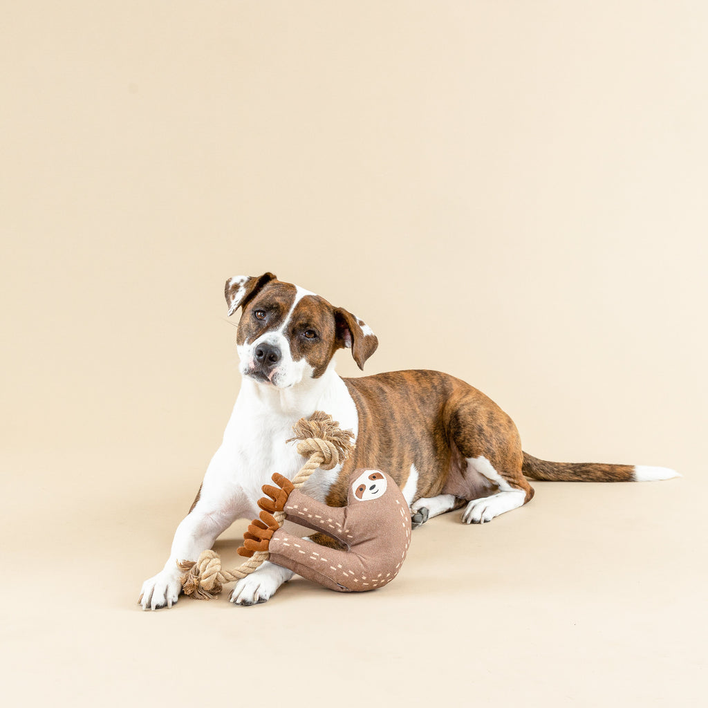 Eat, Sleep, Repeat Dog Toy