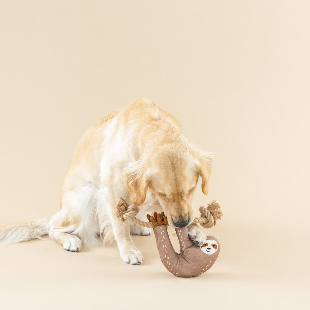 Eat, Sleep, Repeat Dog Toy
