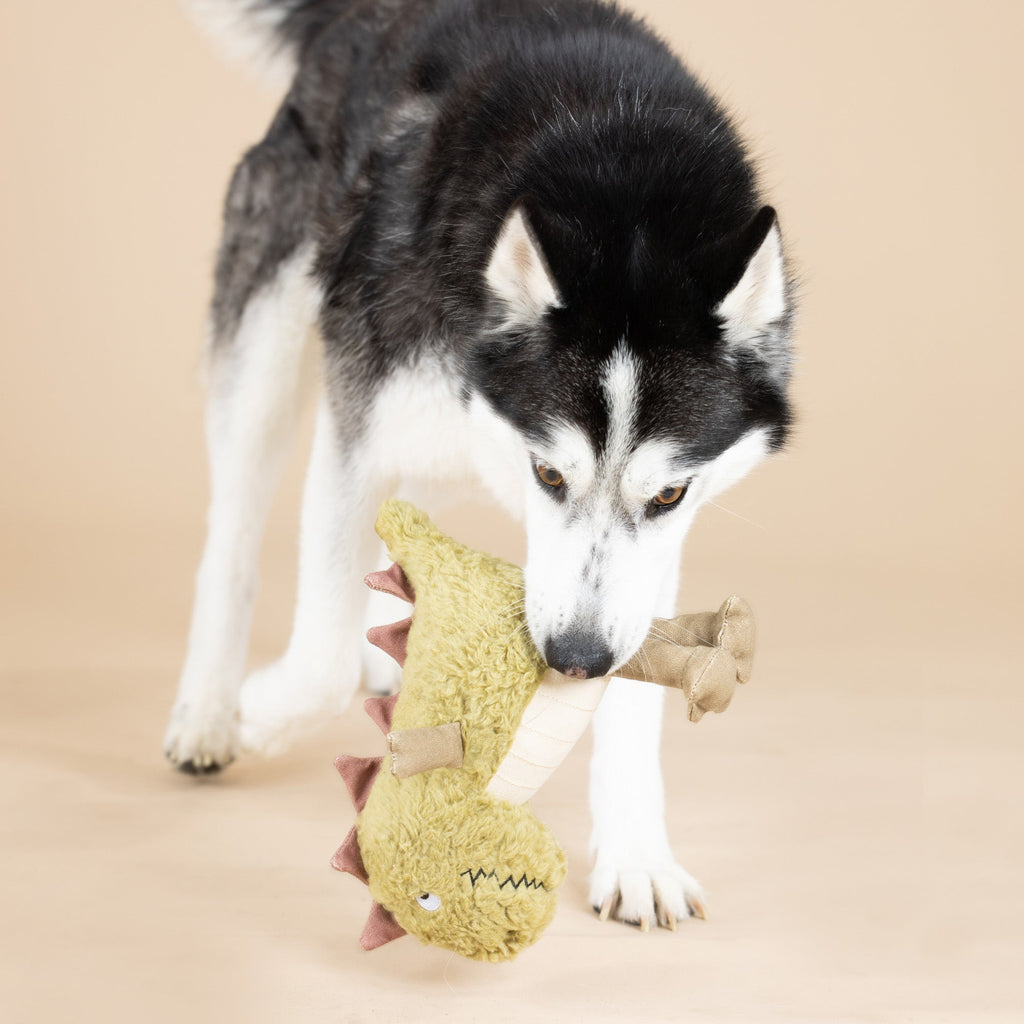 Small Arms, Big Heart Earth Friendly Dog Toy