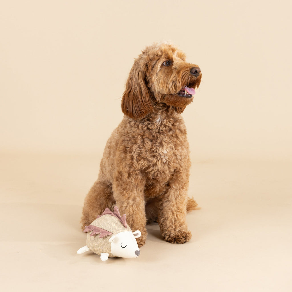 Hedgy Earth  Friendly Dog Toy
