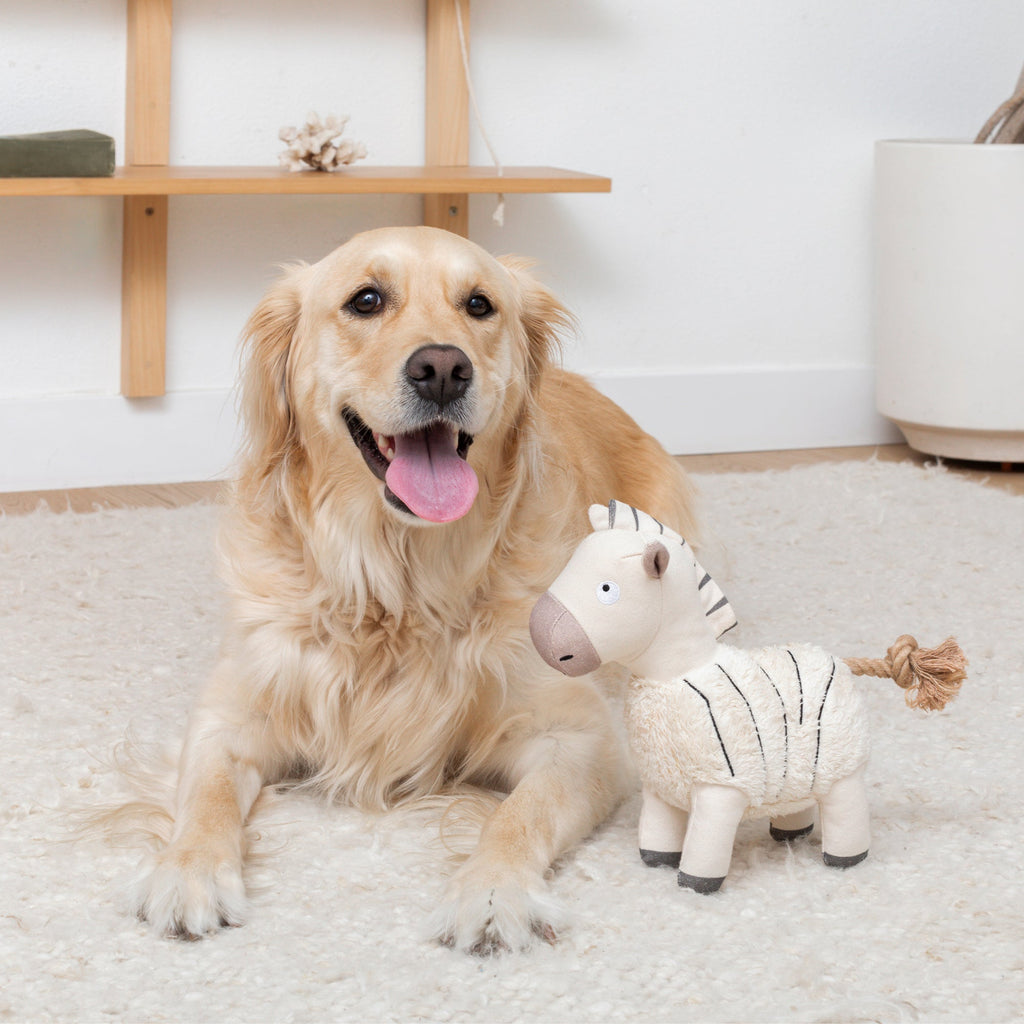 Earned My Stripes Earth Friendly Dog Toy
