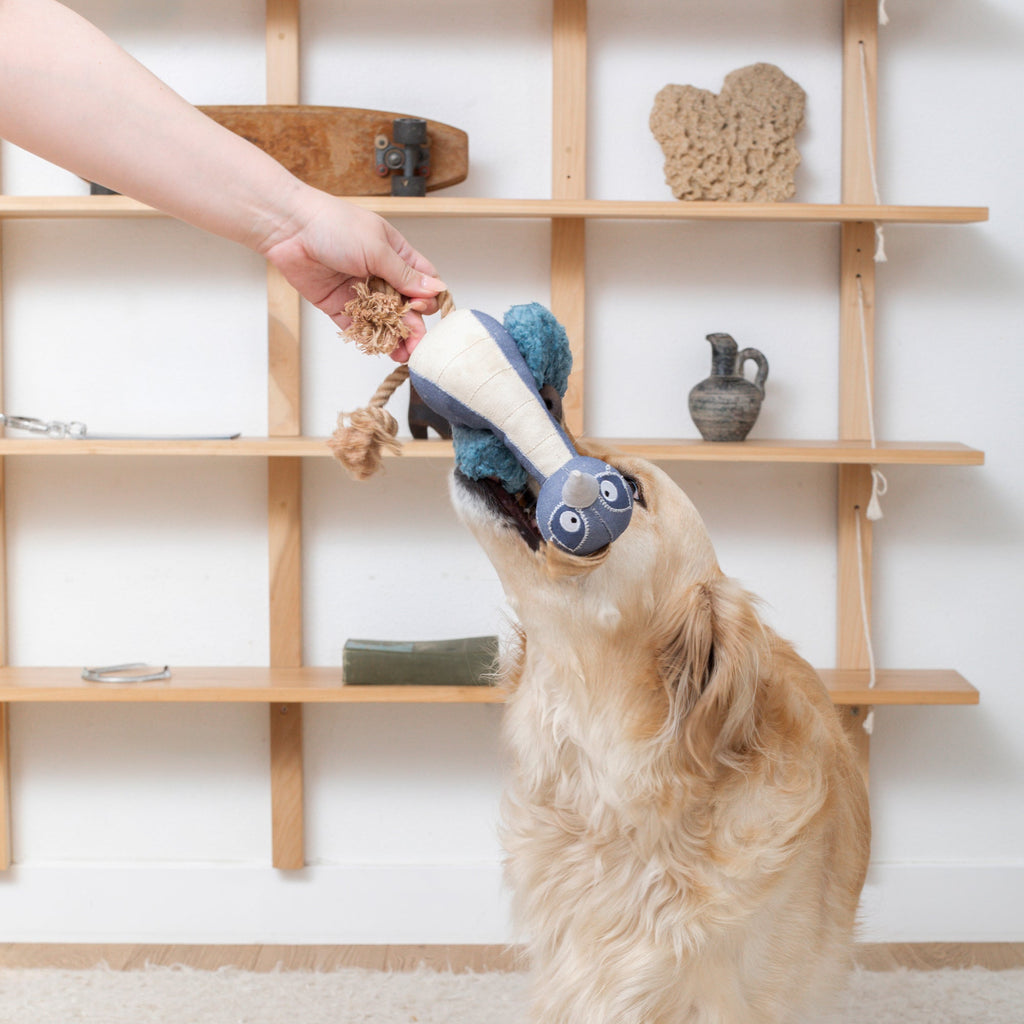 Feather Than Ever Earth Friendly Dog Toy