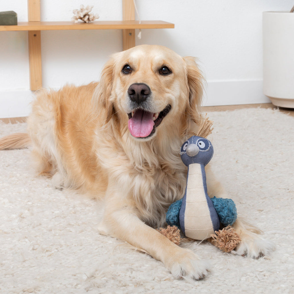 Feather Than Ever Earth Friendly Dog Toy