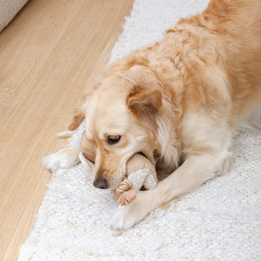 It's In The Trunk Earth Friendly Dog Toy