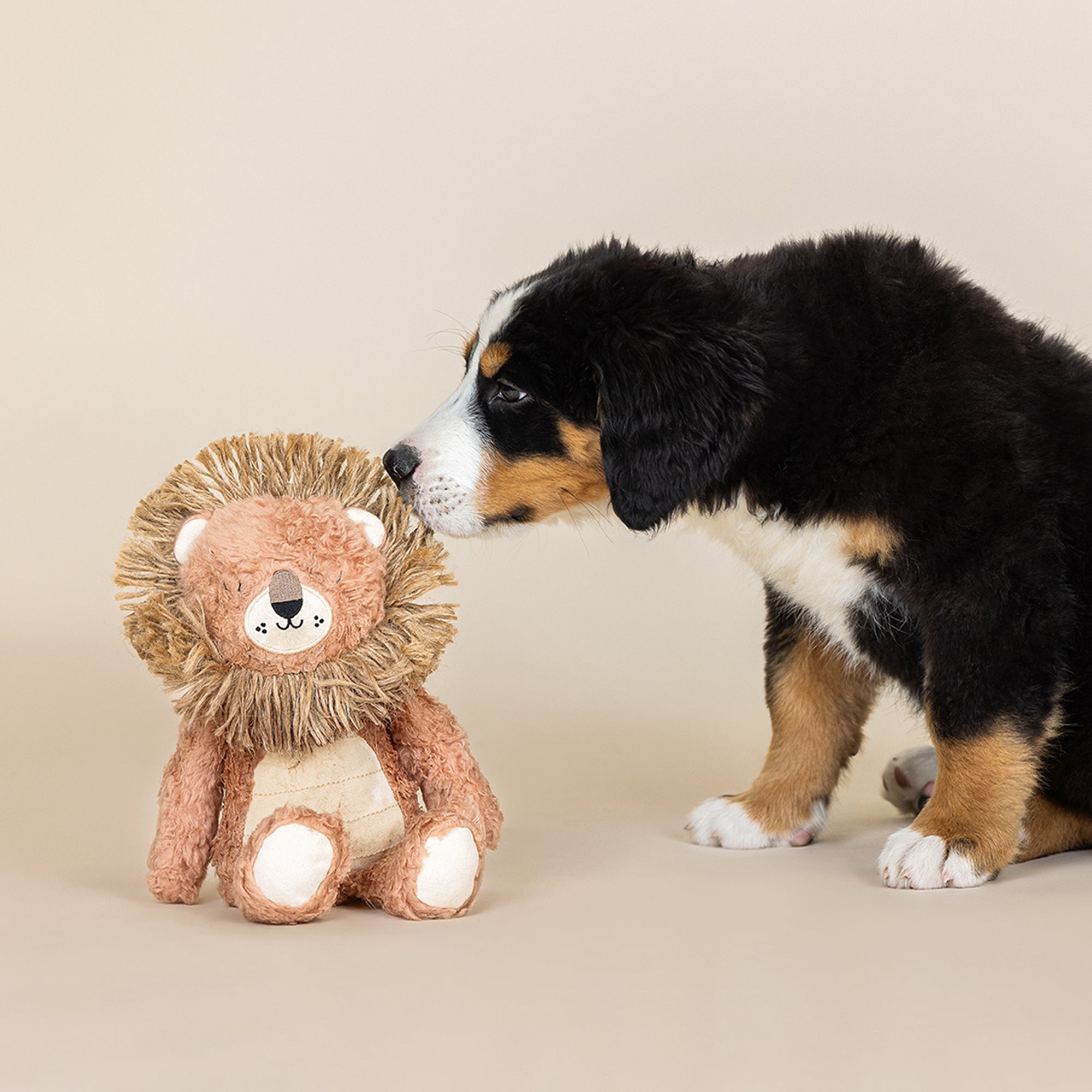 Mighty Mane Earth Friendly Dog Toy