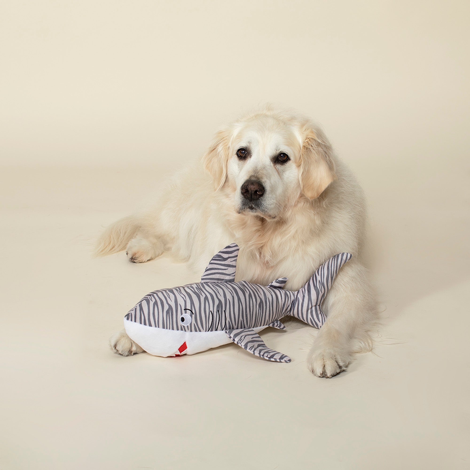 Sir Munch A'Lot Dog Toy