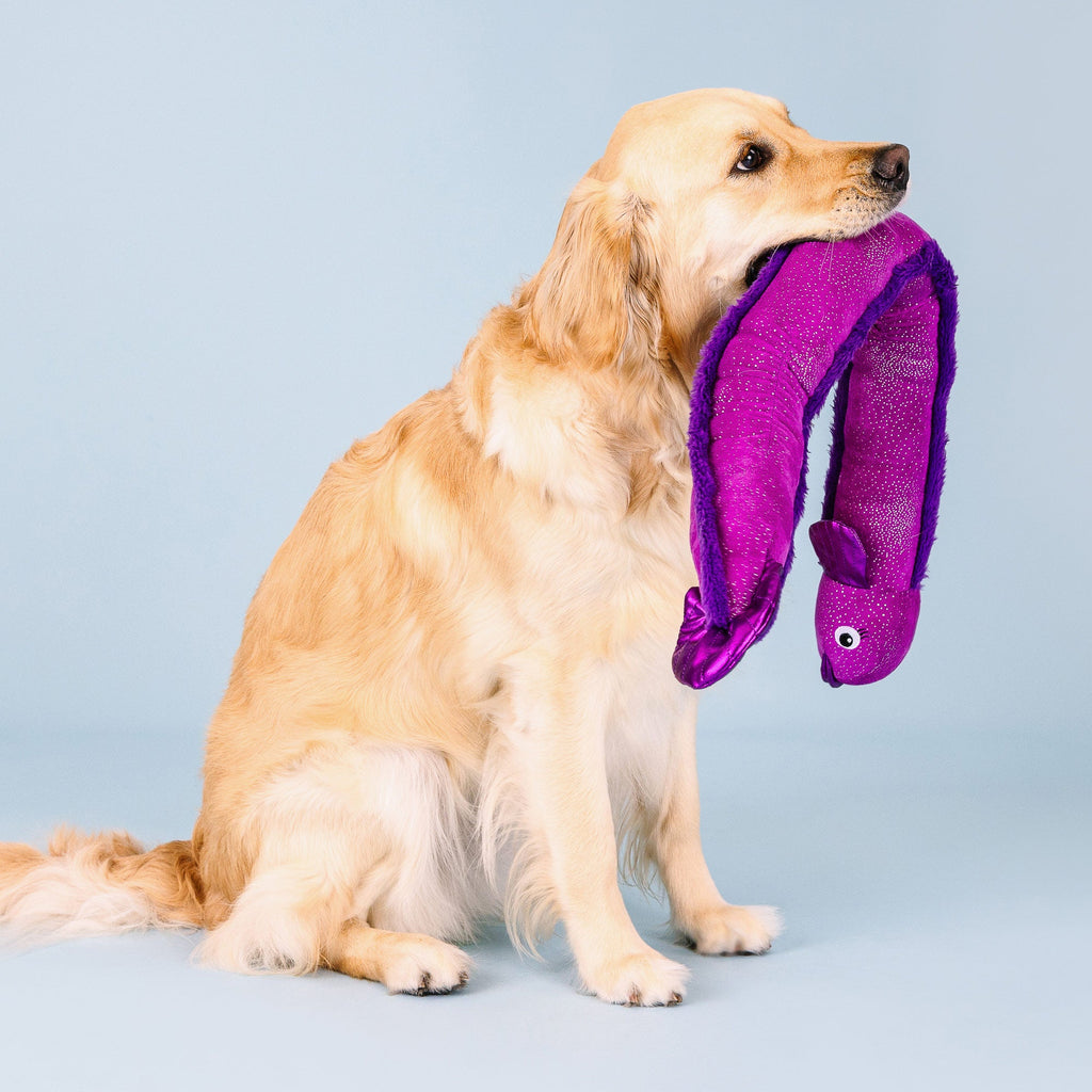 Kind Of A Big Eel Large Dog Toy
