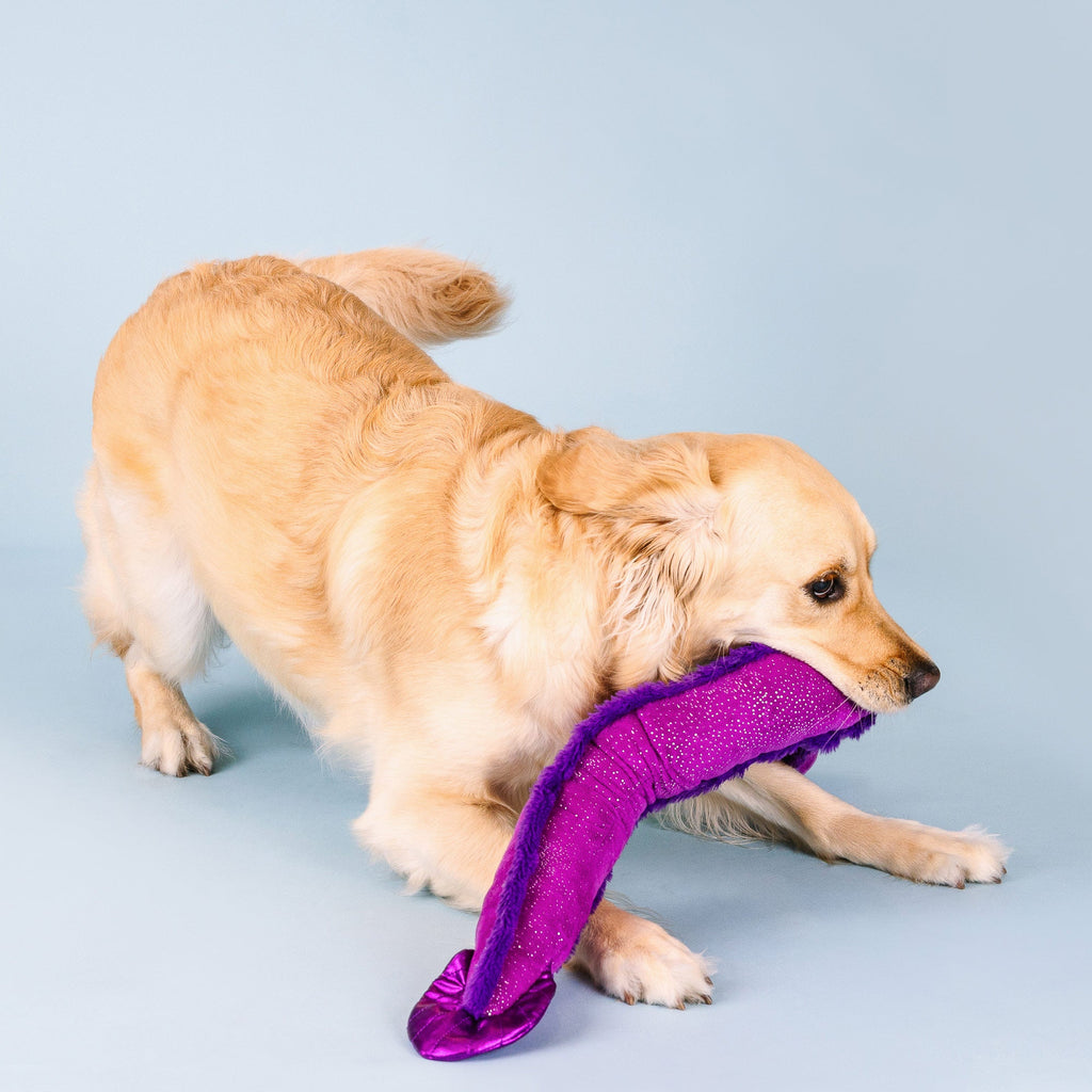 Kind Of A Big Eel Large Dog Toy