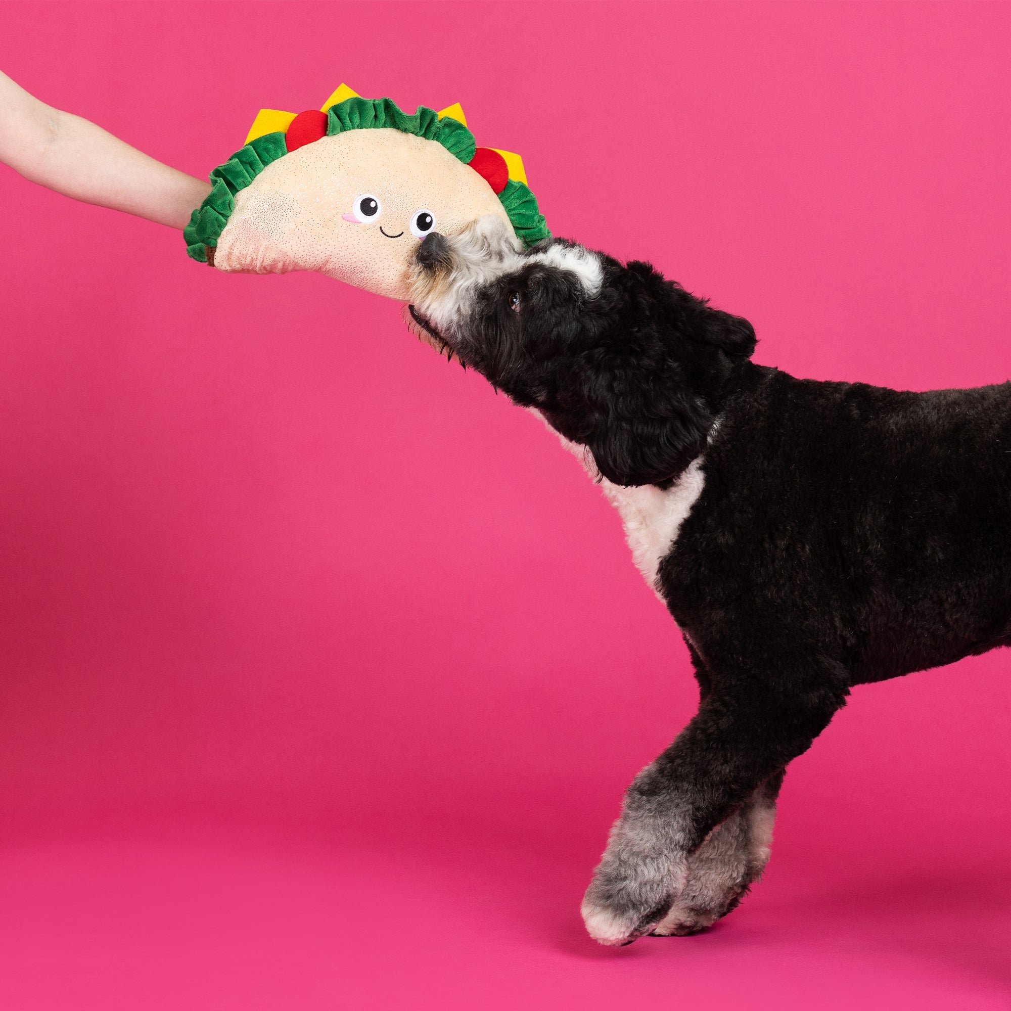 Fantas-Taco! Large Plush Dog Toy