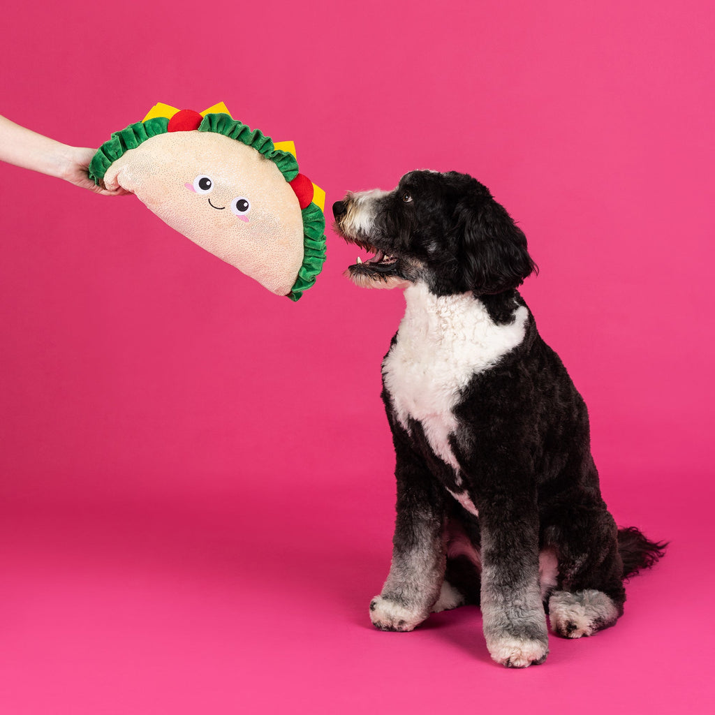 Fantas-Taco! Large Plush Dog Toy